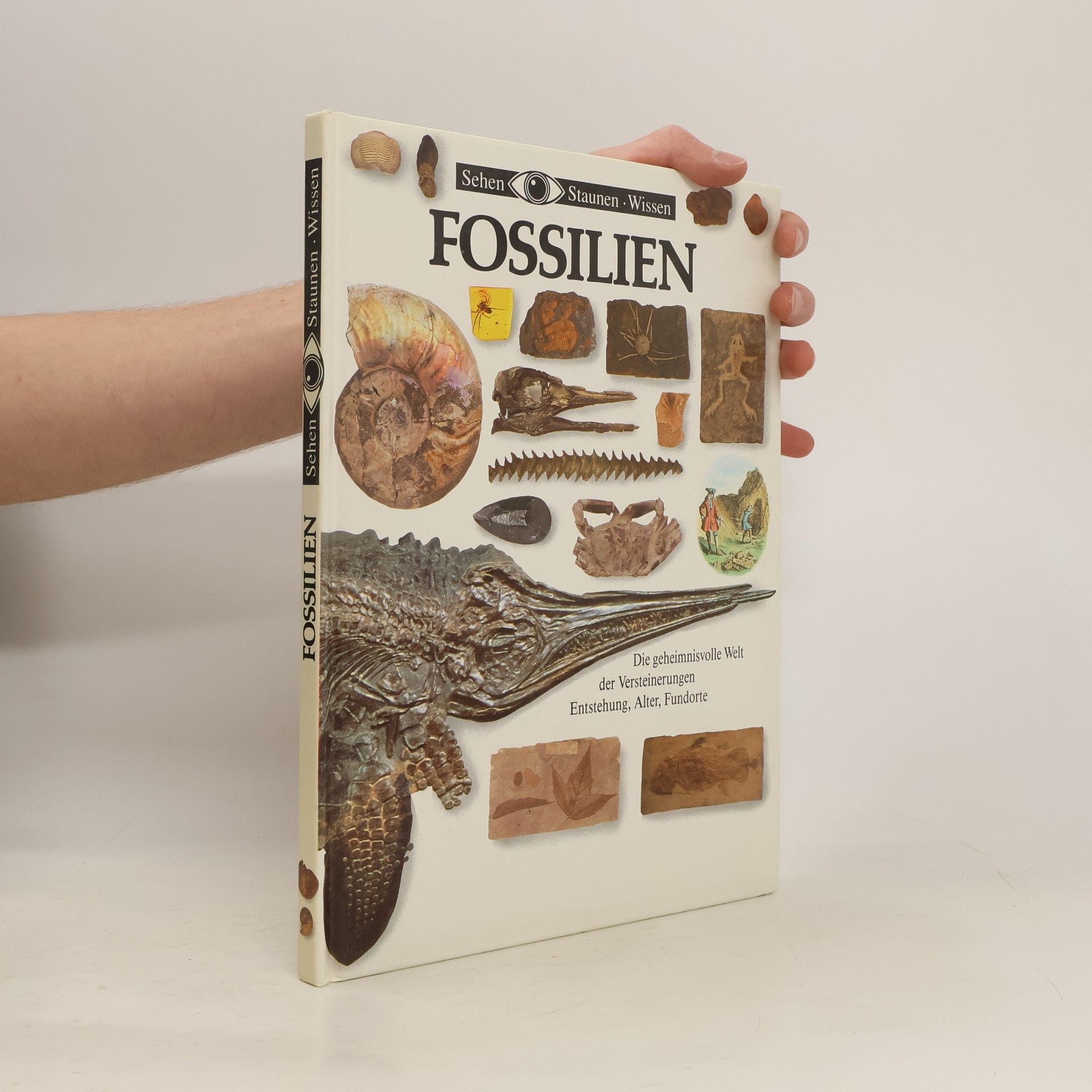 Collectif d'auteurs Sehen, Staunen, Wissen. Fossilien