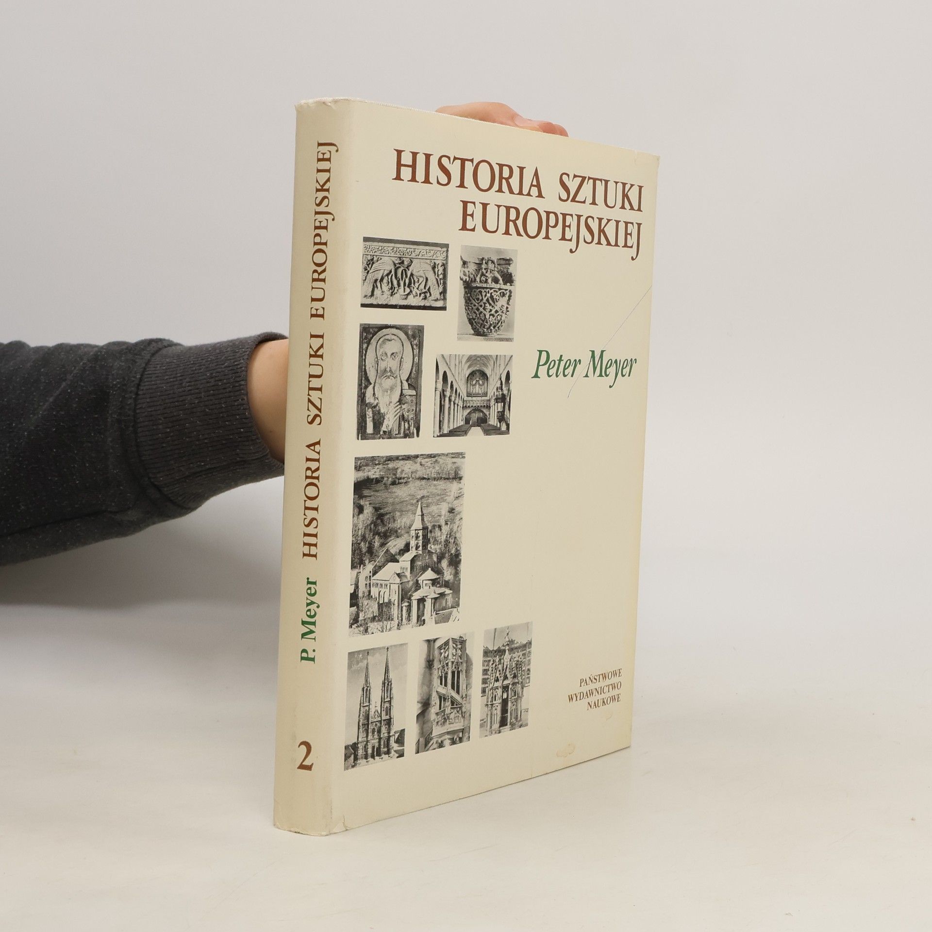 Peter Meyer Historia Sztuki Europejskiej 2