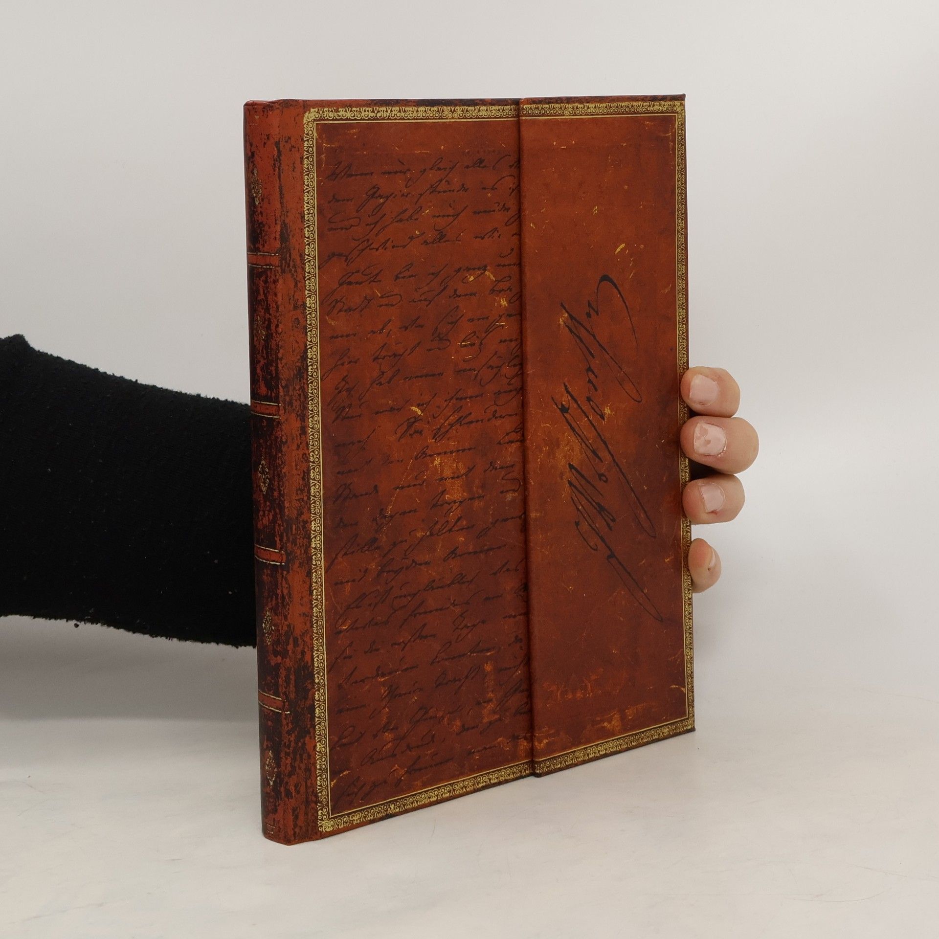 AA.VV. Goethe Lined Journal