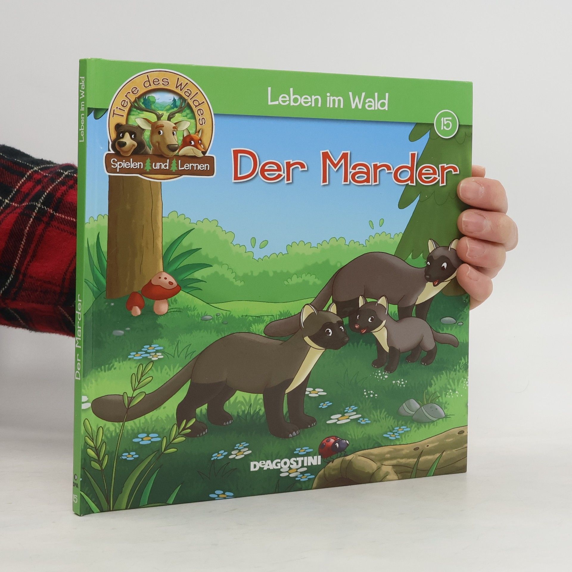 Autorenkollektiv Leben im Wald: Der Marder