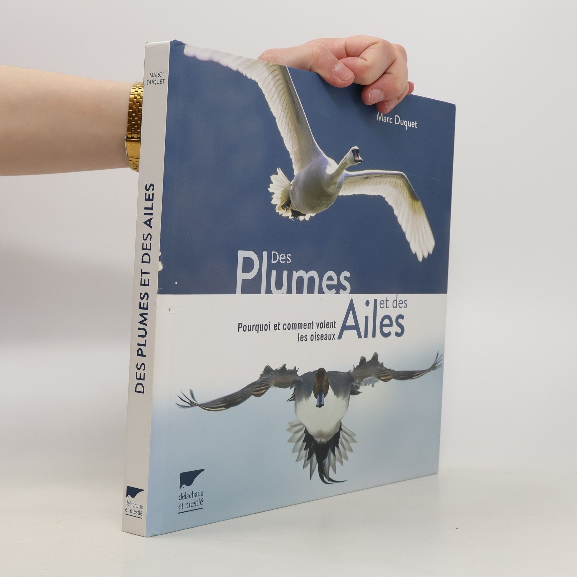 Marc Duquet Des plumes et des ailes