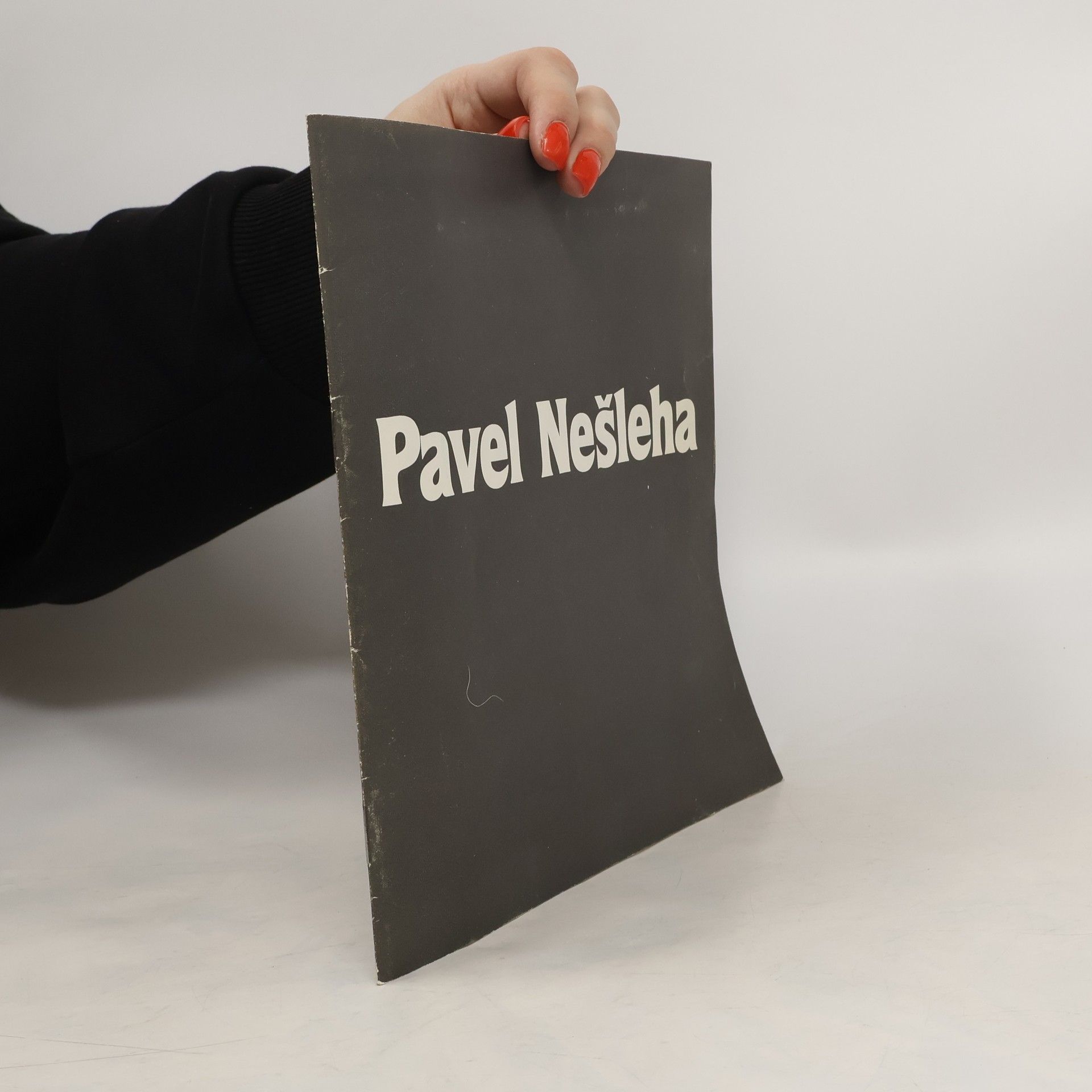 Kolektív autorov Pavel Nešleha