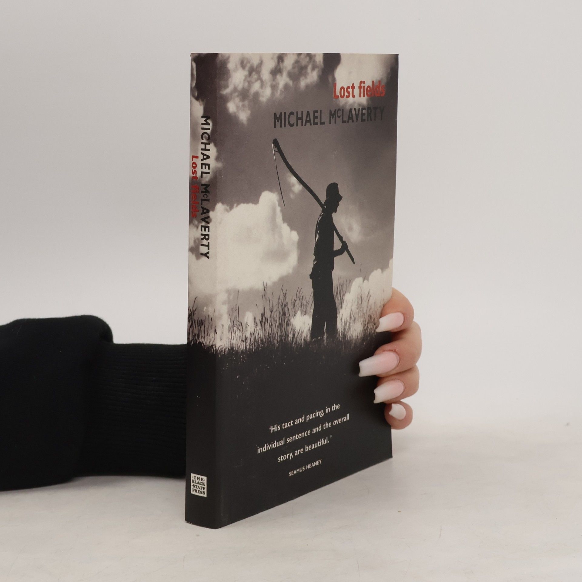Michael McLaverty Lost Fields