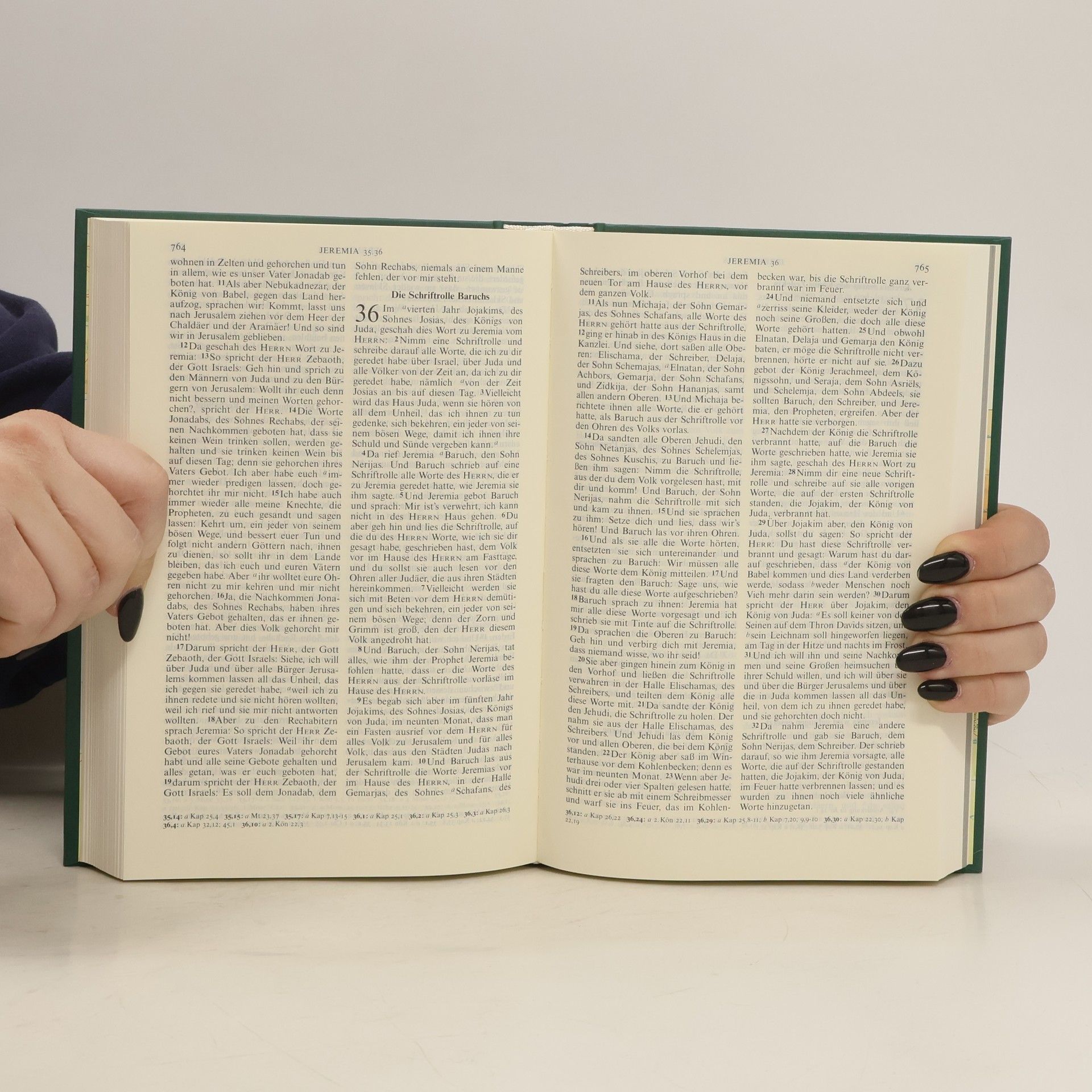 Martin Luther Die Bibel. Luther-Übersetzung