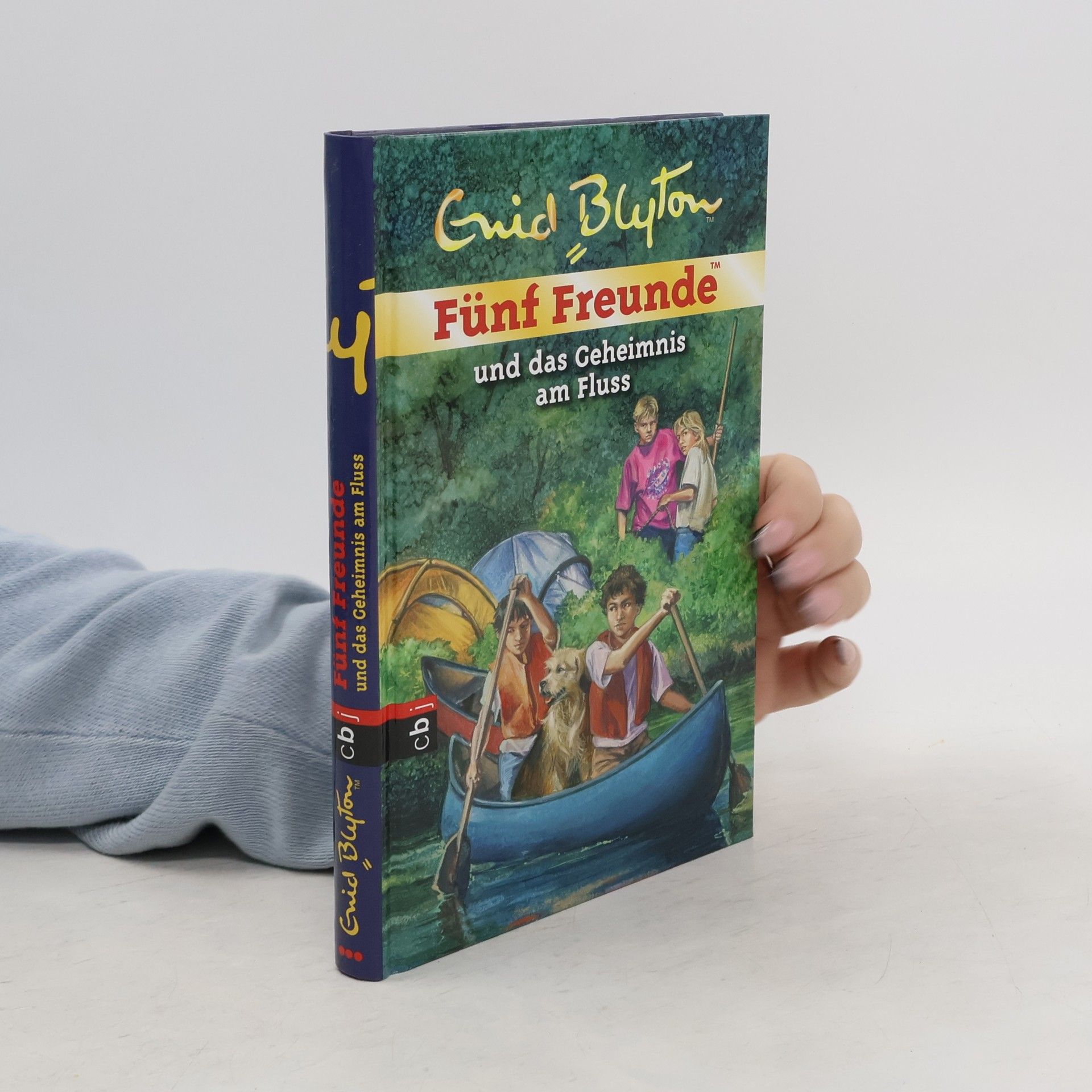 Sarah Bosse Fünf Freunde und das Geheimnis am Fluss