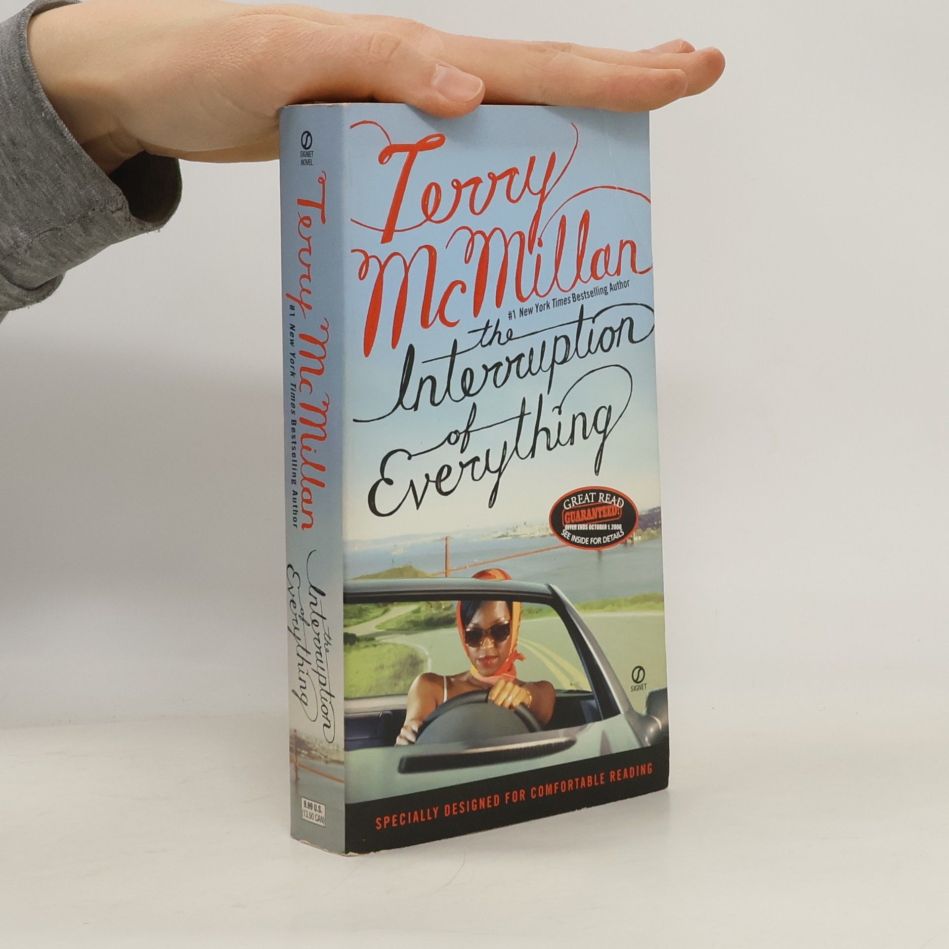 Terry McMillan The Interruption of Everything