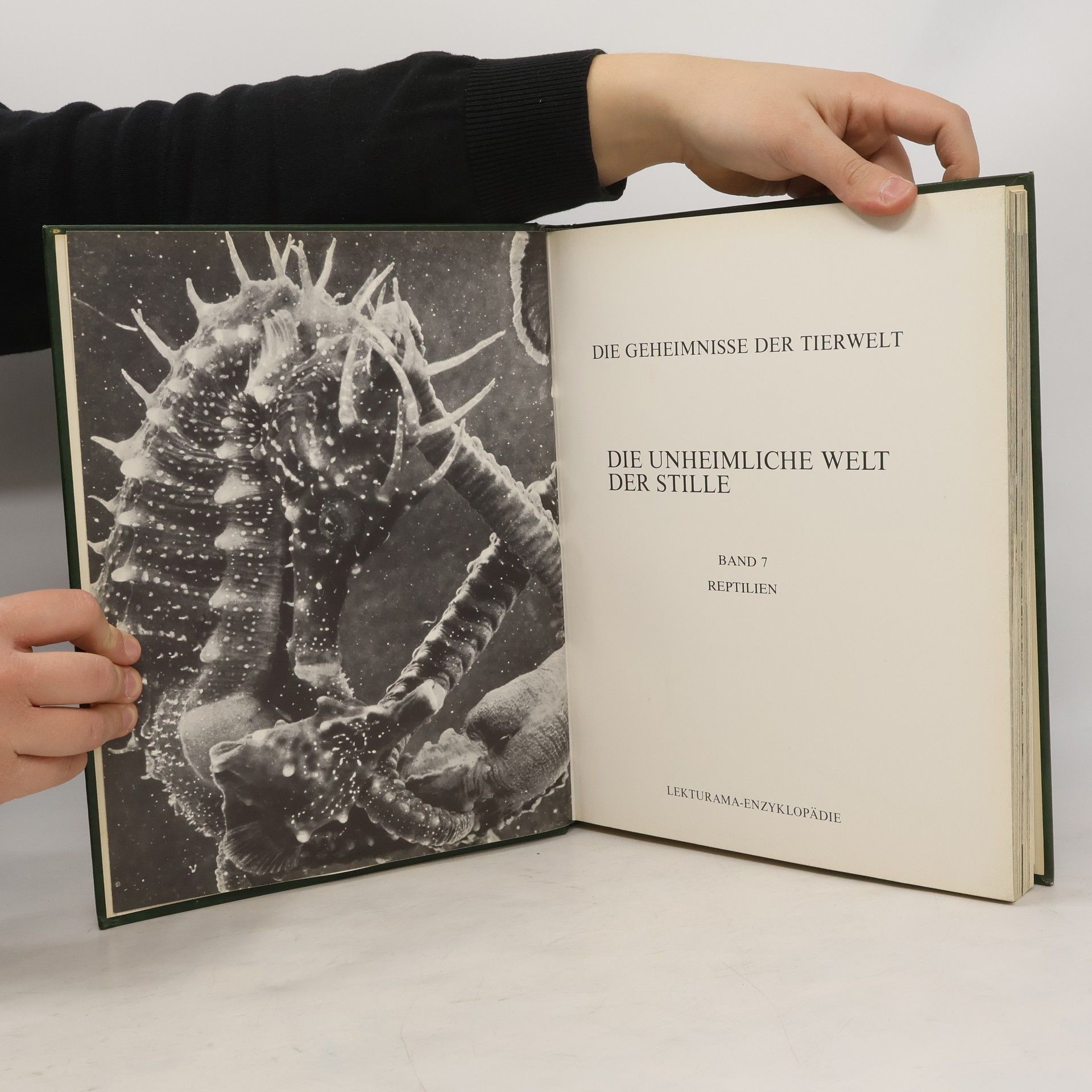 Autorenkollektiv Die Geheimnisse der Tierwelt, Band 7: Die unheimliche Welt der Stille