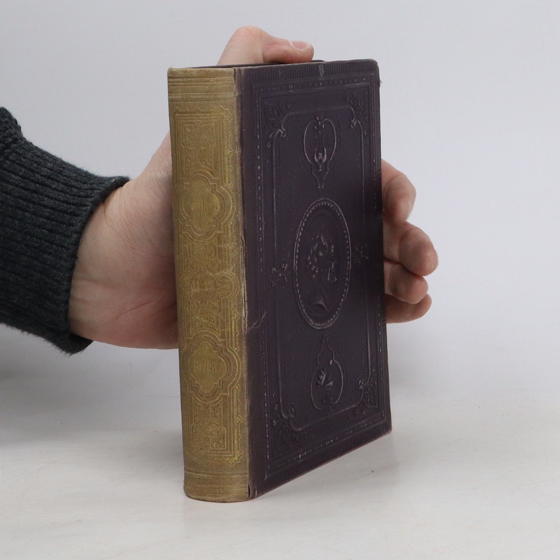 Johann Wolfgang von Goethe Goethe's Werke. Band 11. und 12.
