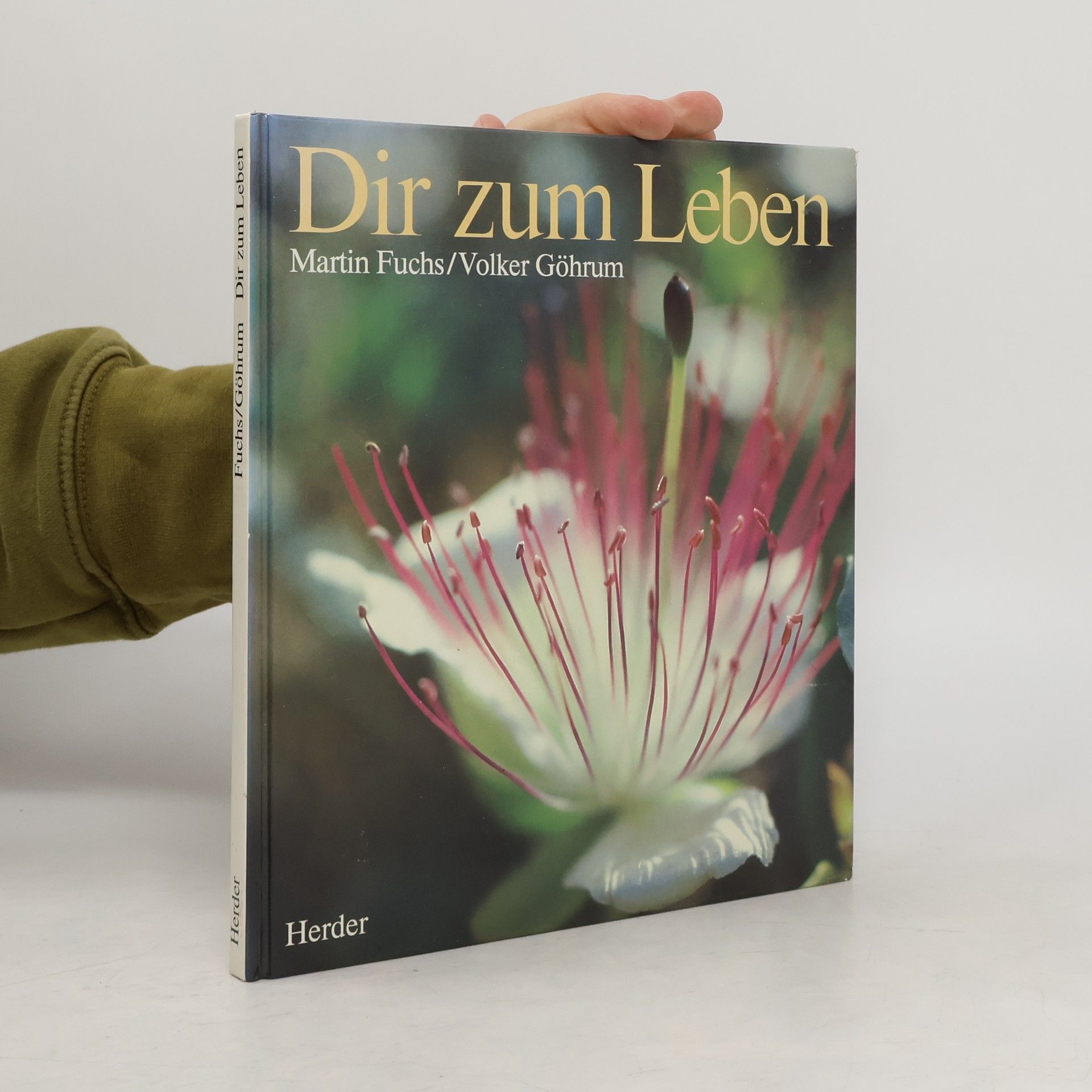 Martin Fuchs Dir zum Leben
