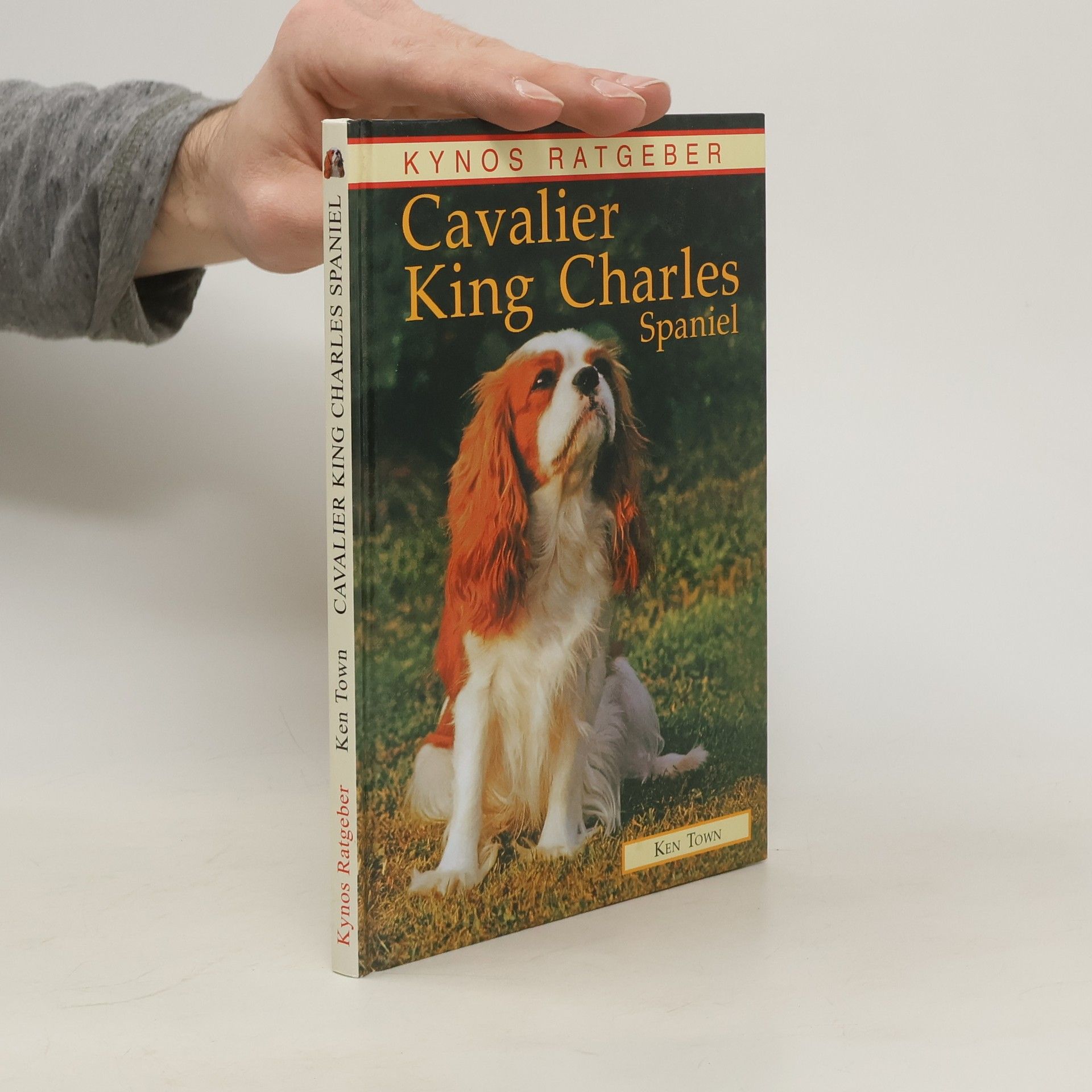 Kynos Ratgeber Cavalier King Charles Spaniel