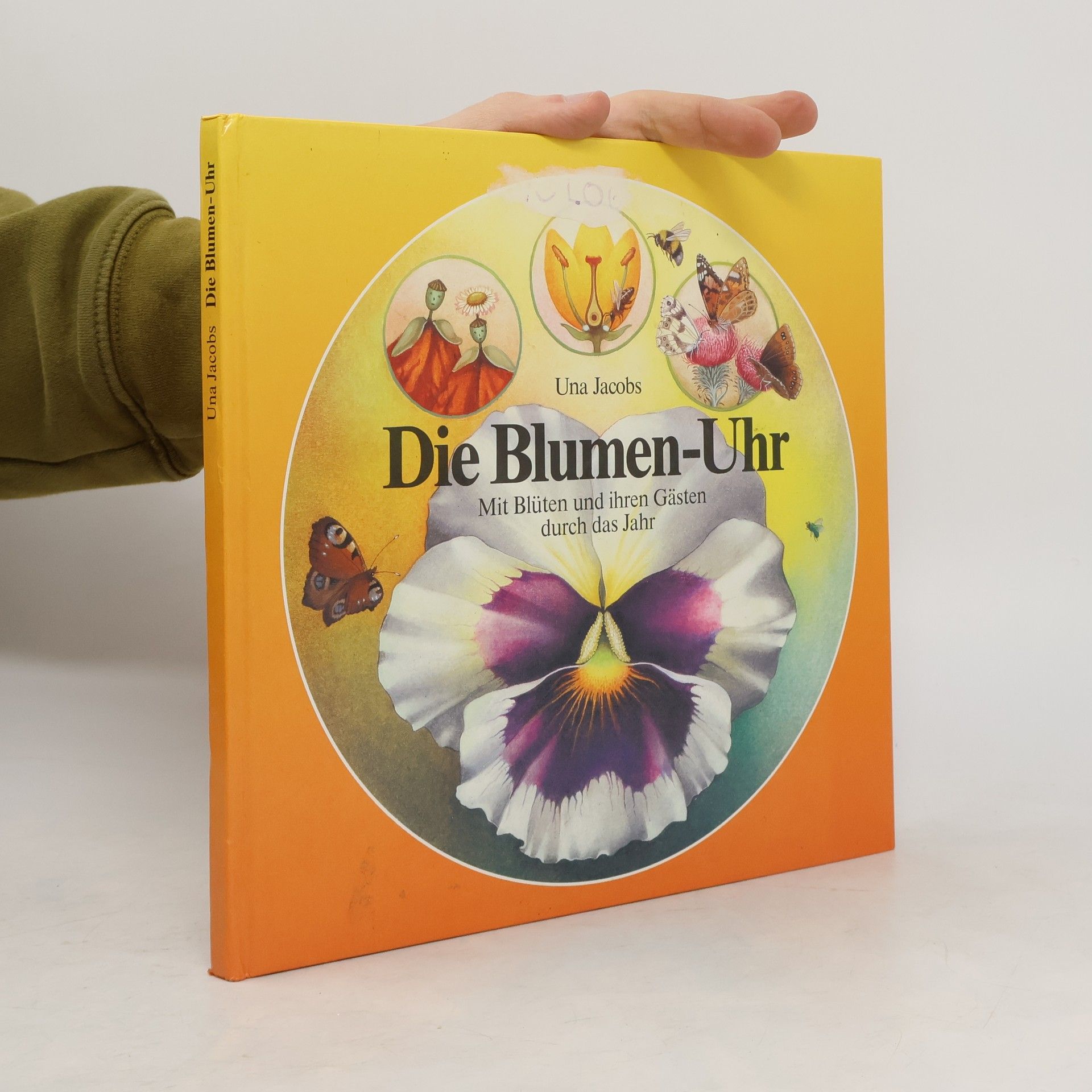 Una Jacobs Die Blumen-Uhr