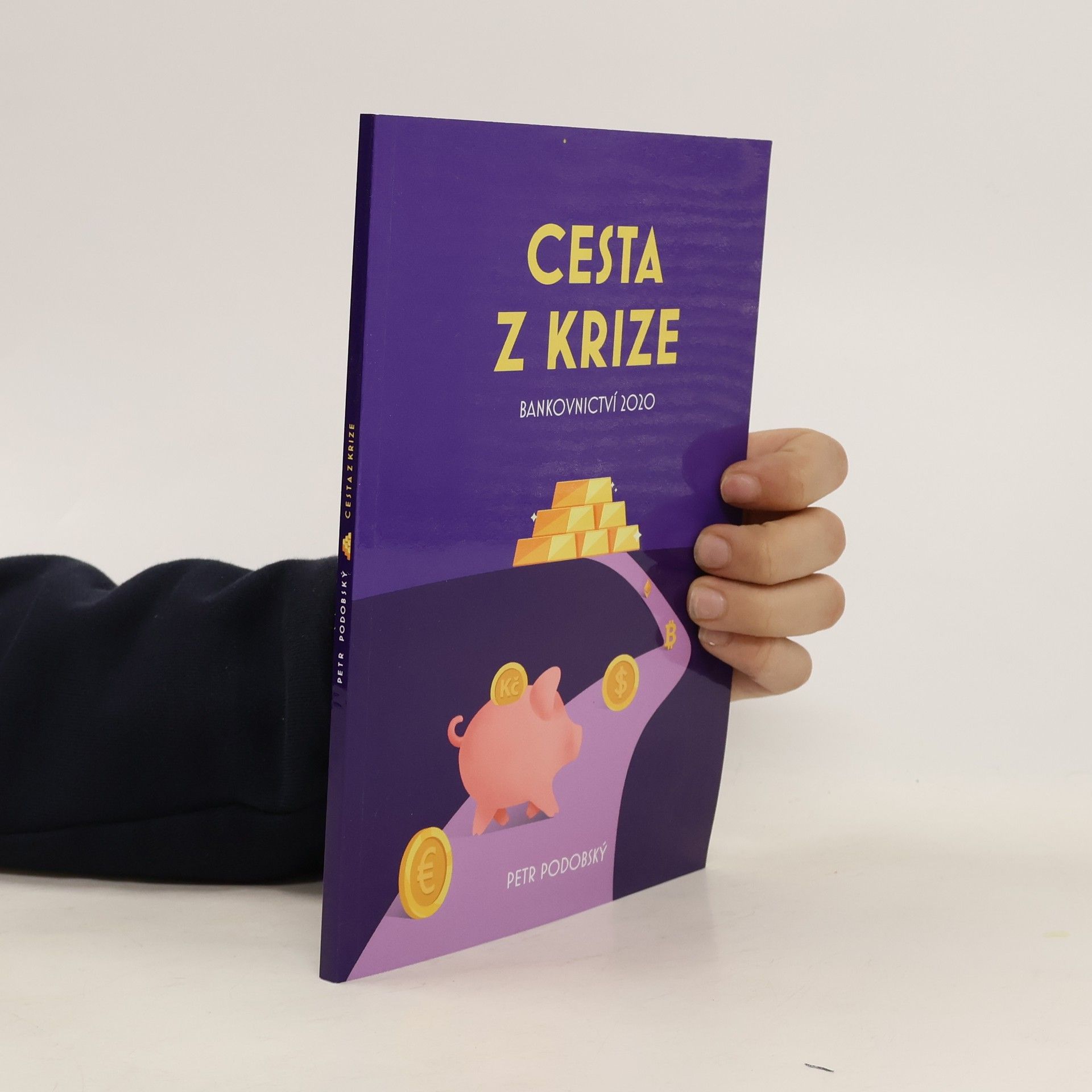 Petr Podobský Cesta z Krize