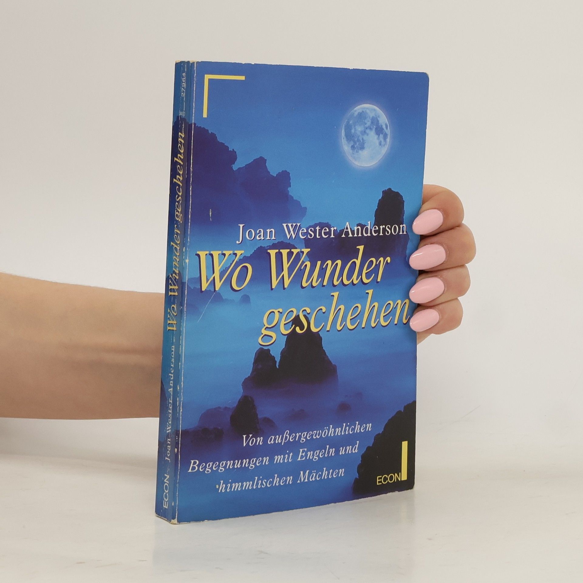 Joan Wester Anderson Wo Wunder geschehen