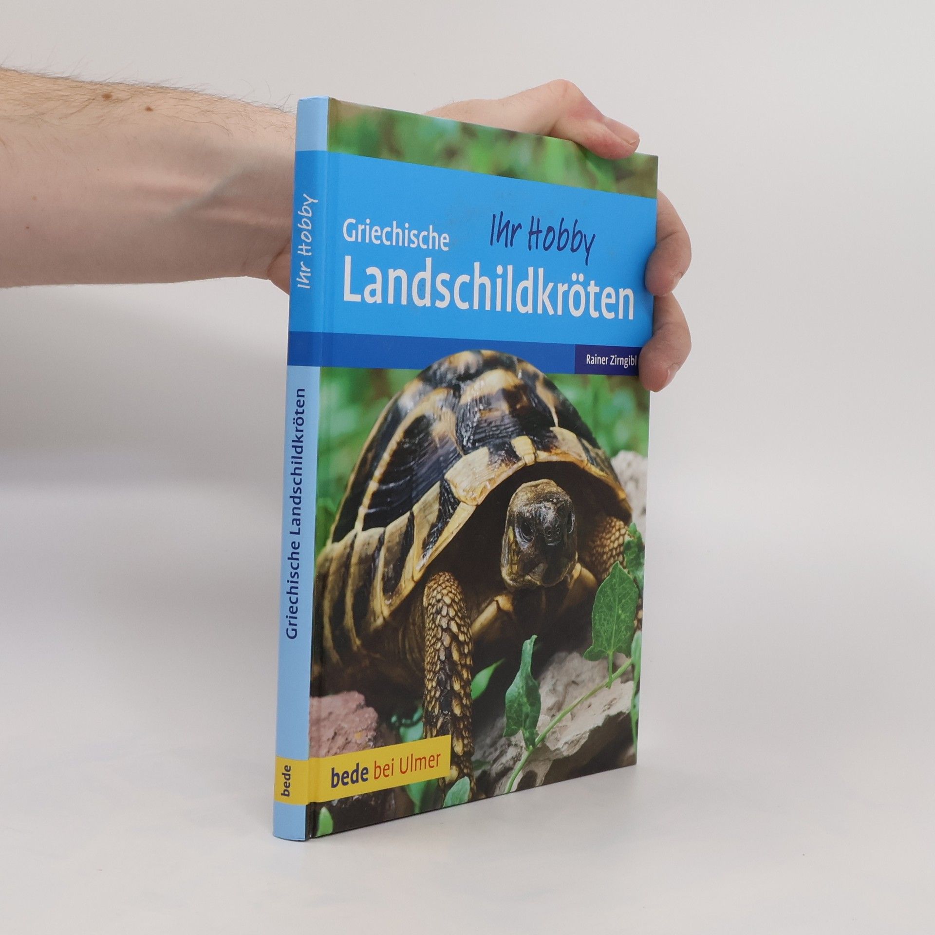 Rainer Zirngibl Griechische Landschildkröten