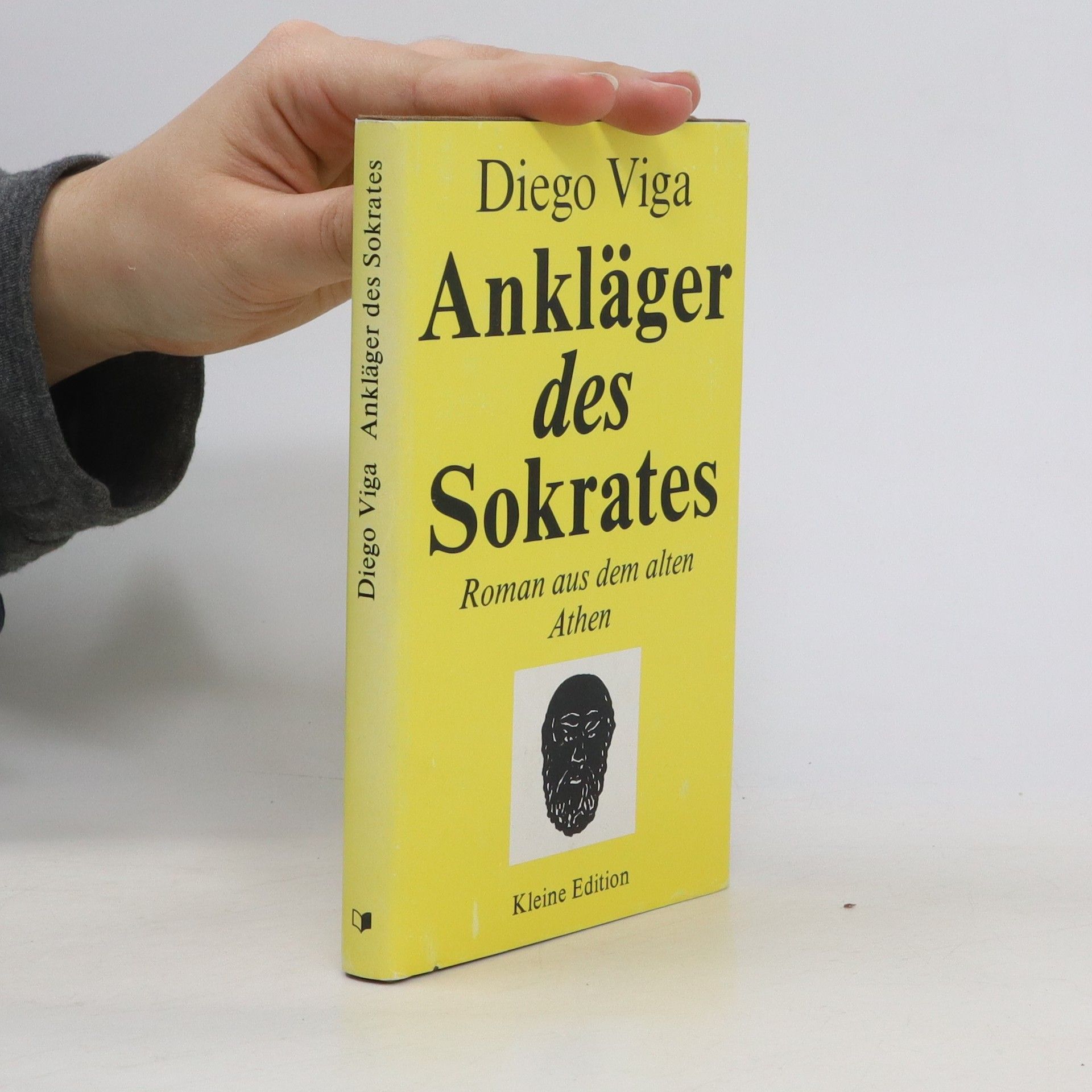 Diego Viga Ankläger des Sokrates. Roman aus dem alten Athen