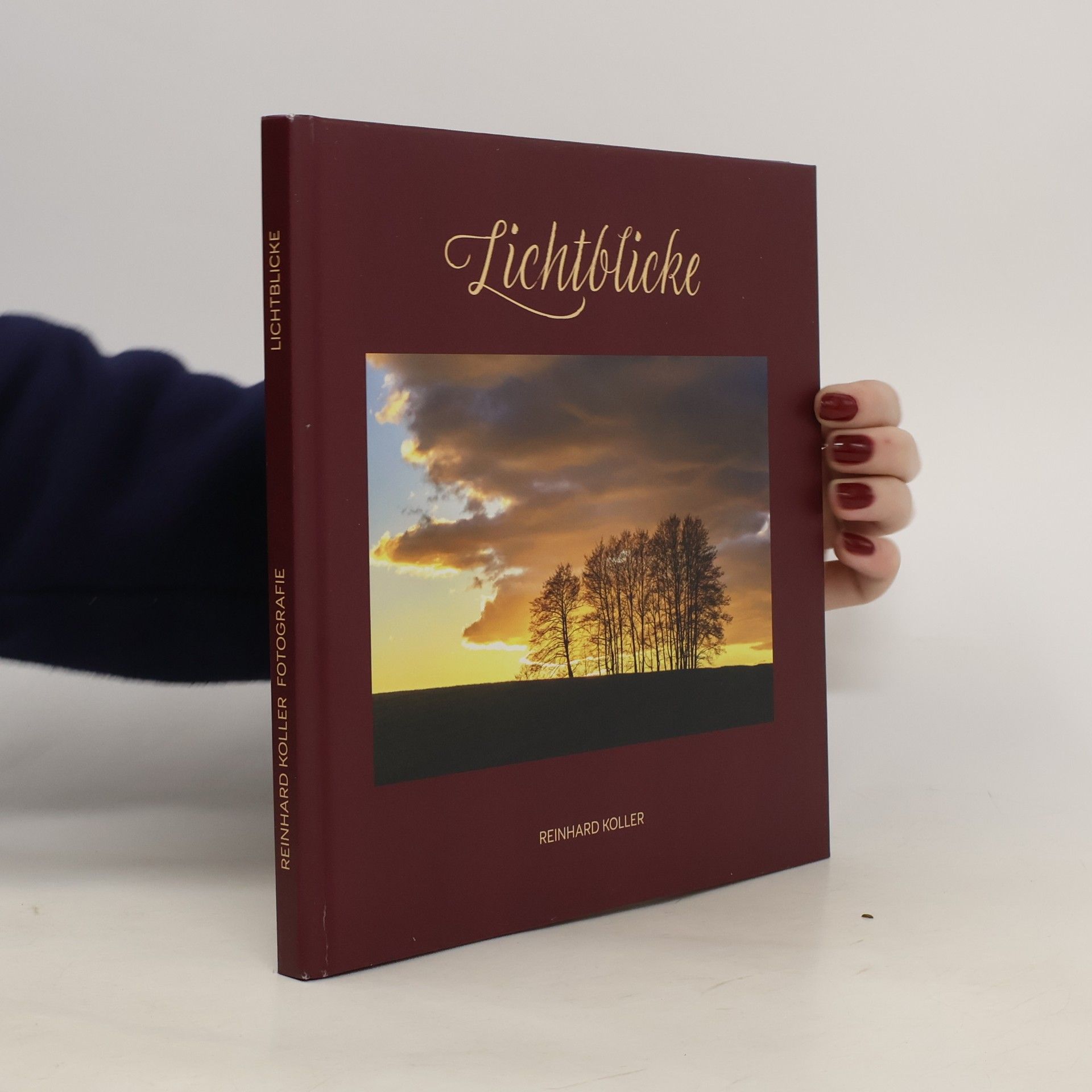 Reinhard Köller Lichtblicke