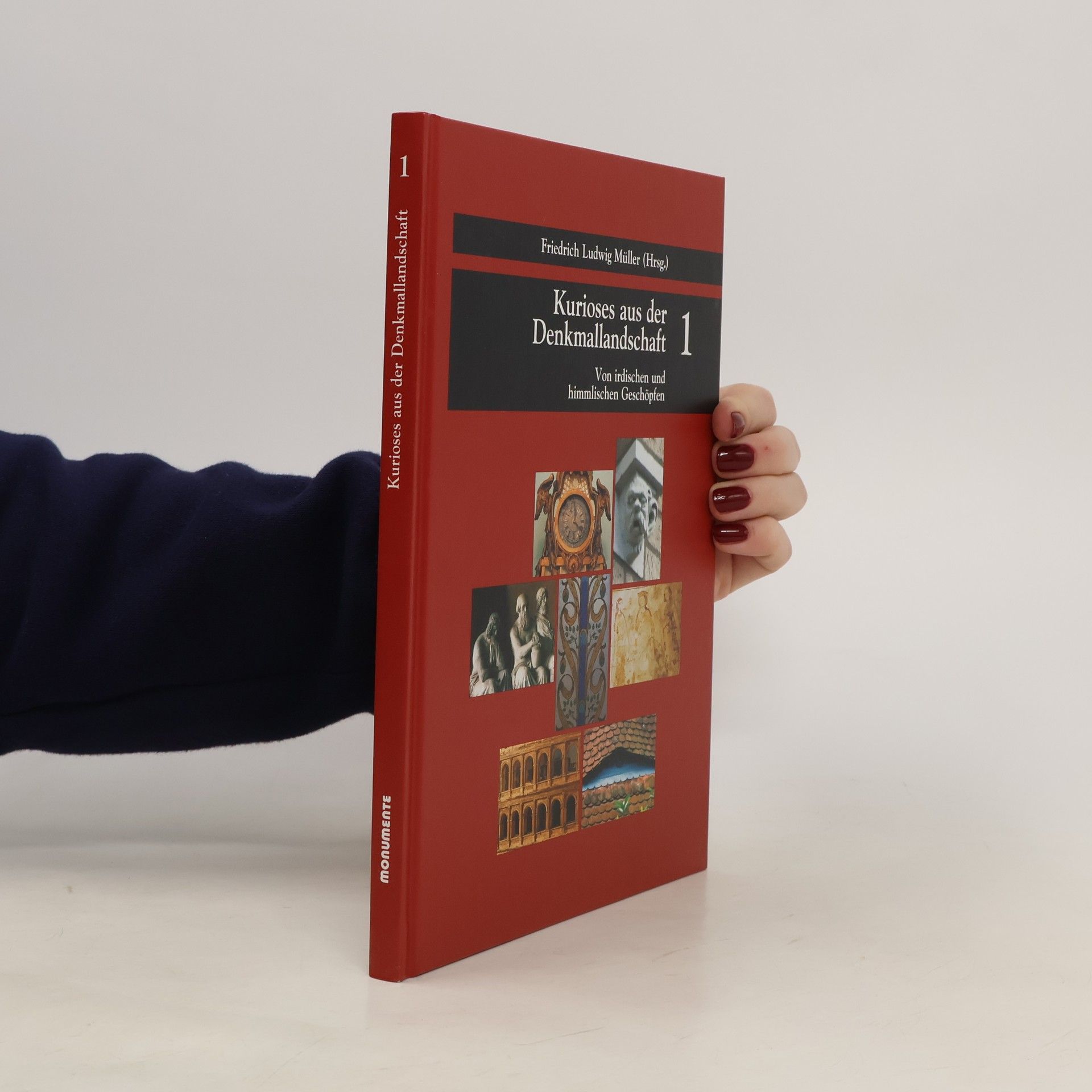 Collectif d'auteurs Kurioses aus der Denkmallandschaft