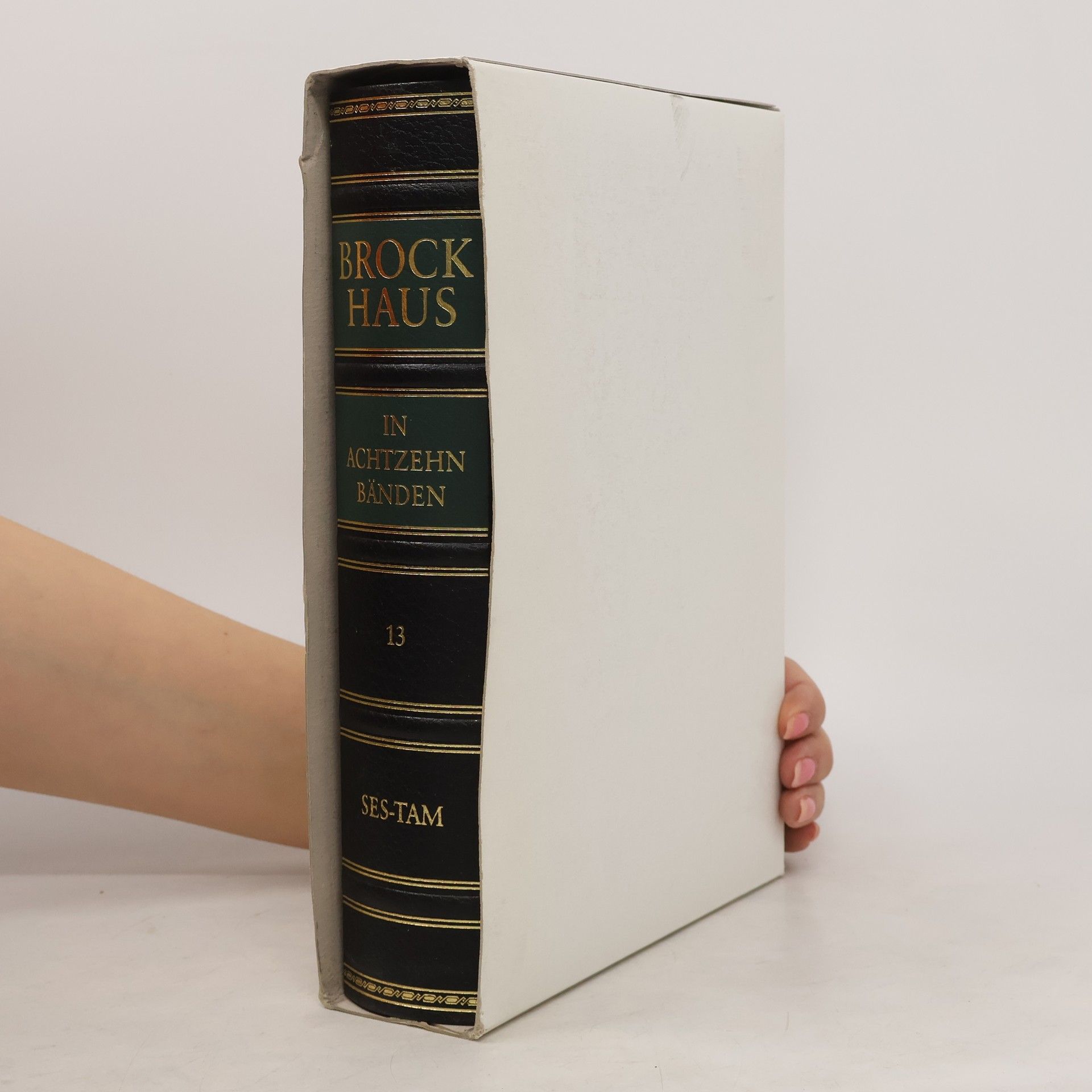 kolektiv Brockhaus deutsches Wörterbuch 13