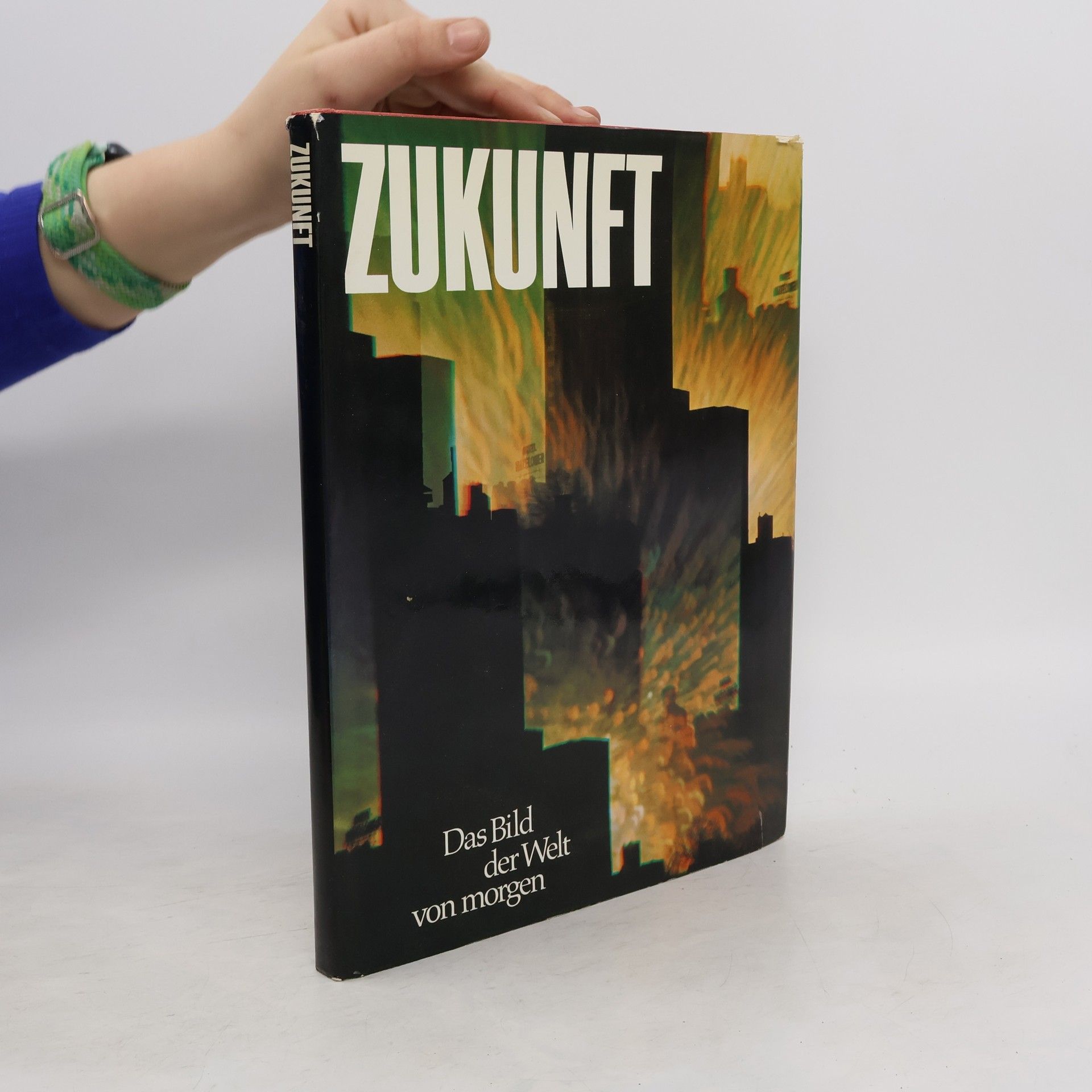 Ulrich Schippke Zukunft. Das Bild der Welt von morgen