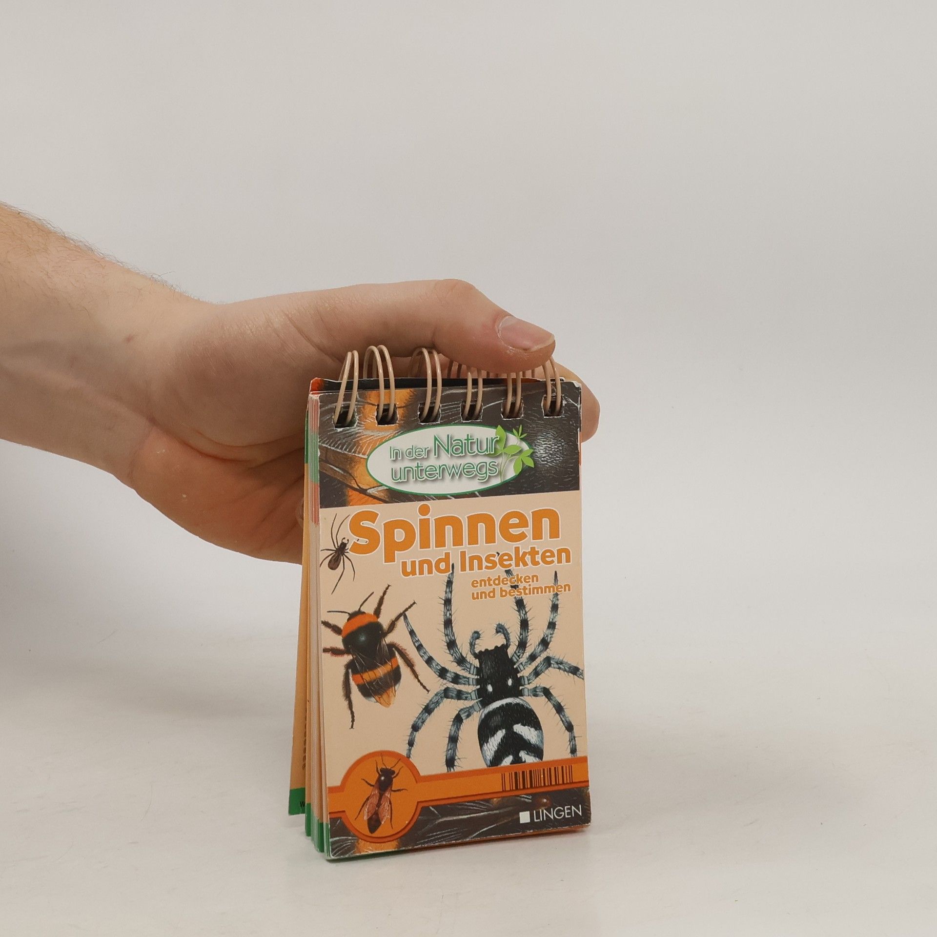 Collectif d'auteurs Spinnen und Insekten