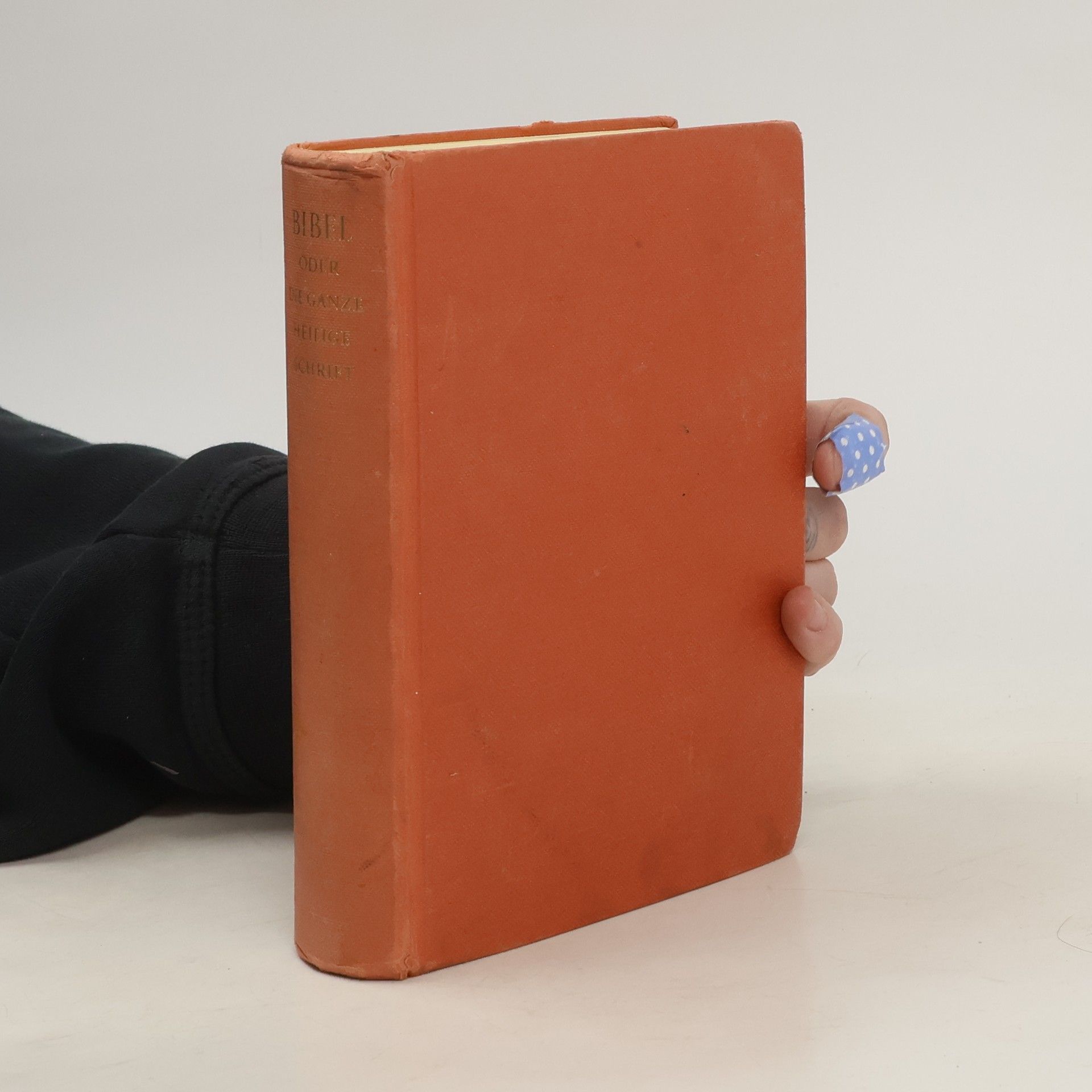 Autorenkollektiv Bibel oder die ganze heilige Schrift