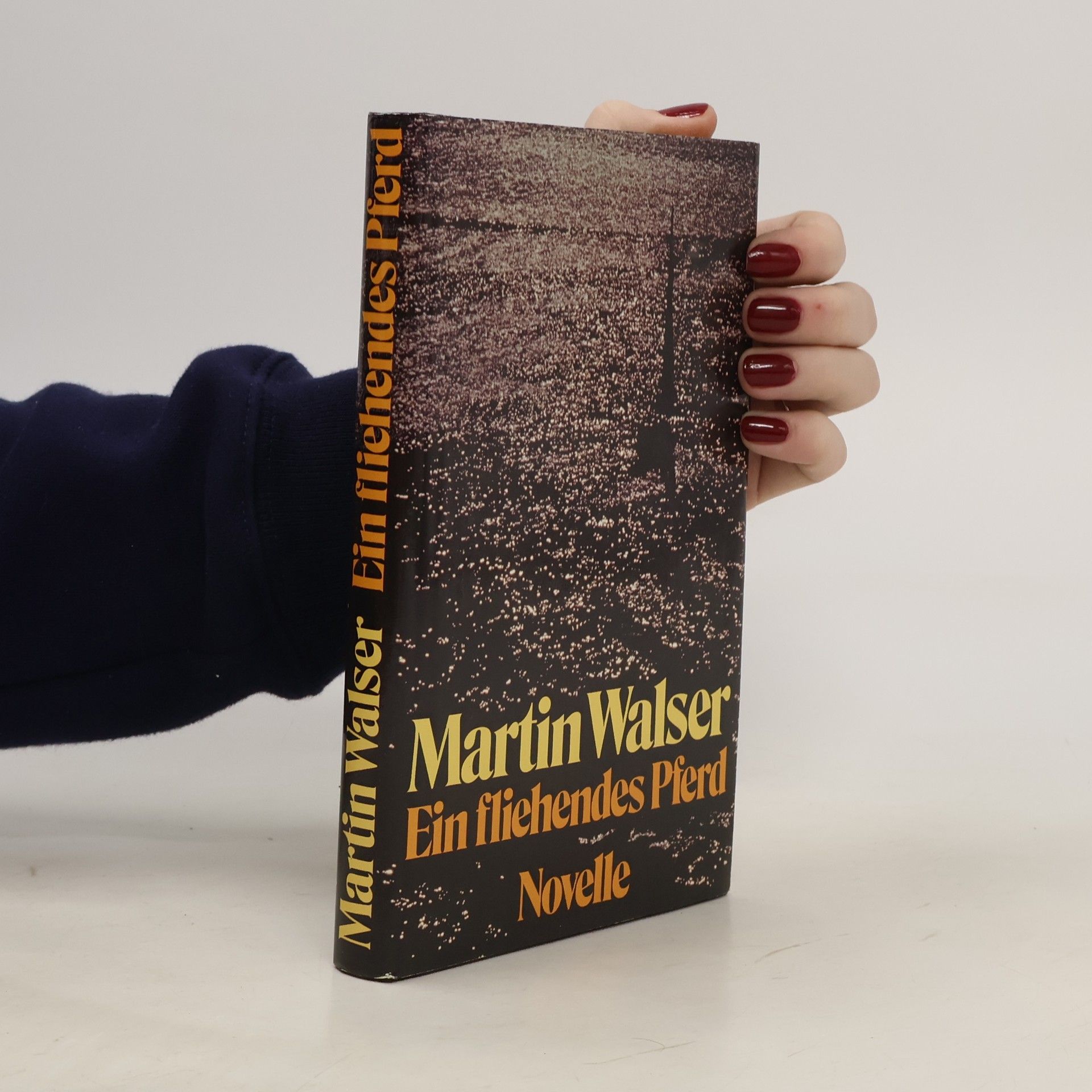 Martin Walser Ein fliehendes Pferd