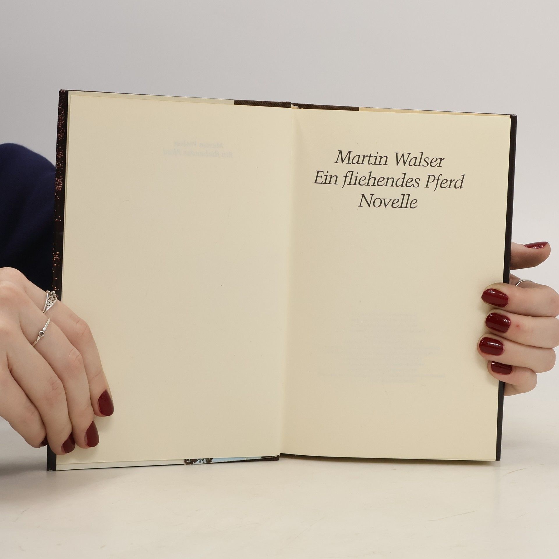 Martin Walser Ein fliehendes Pferd