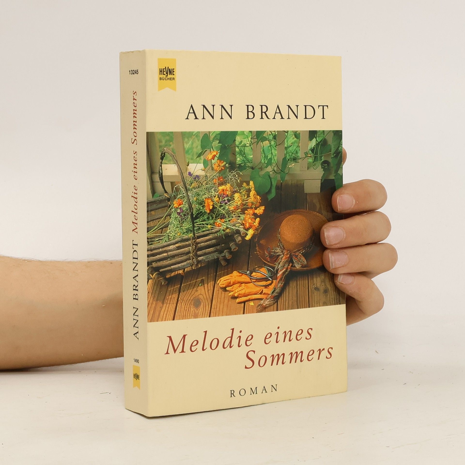 Ann Brandt Melodie eines Sommers