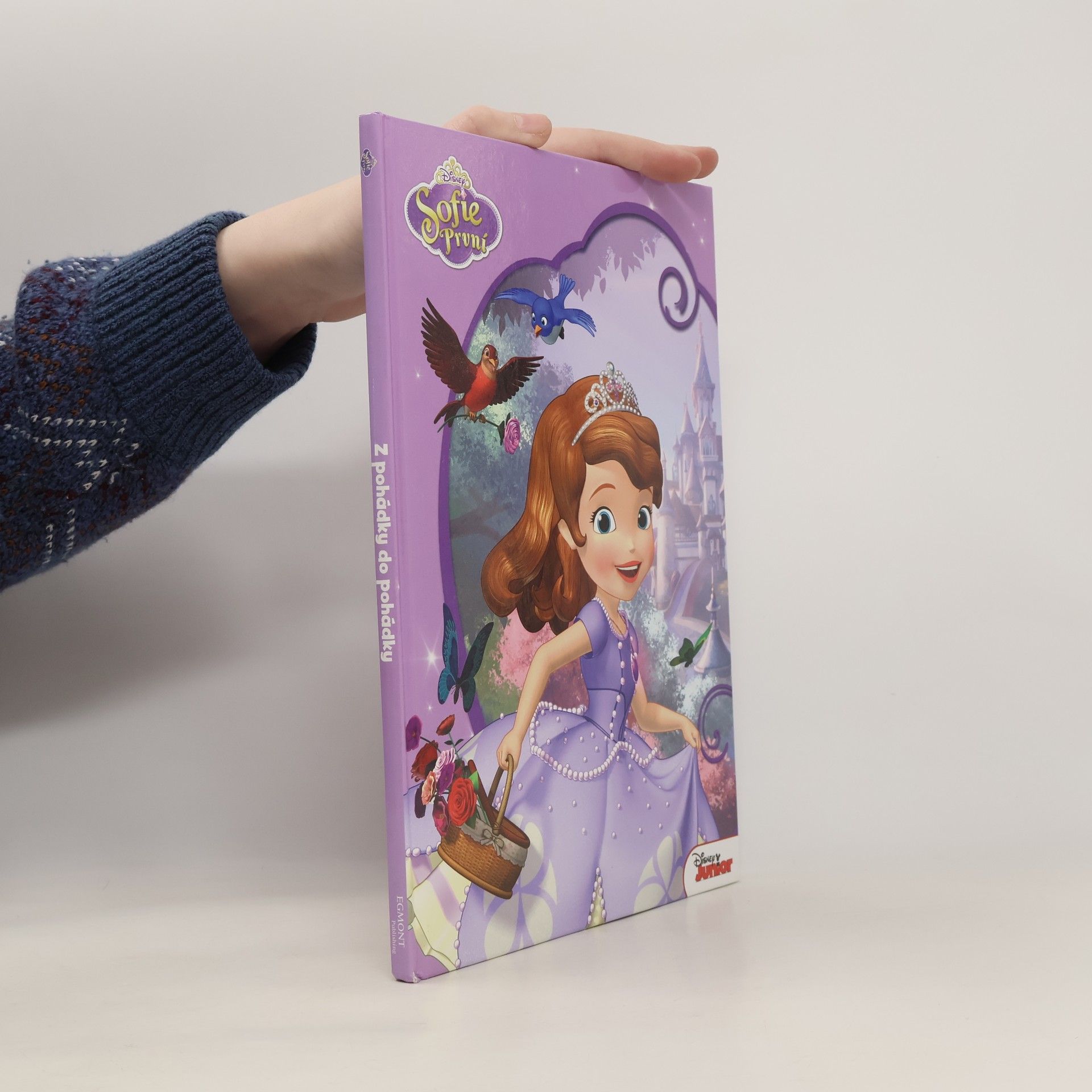 Autorenkollektiv Sofie První. Amulet a hymna