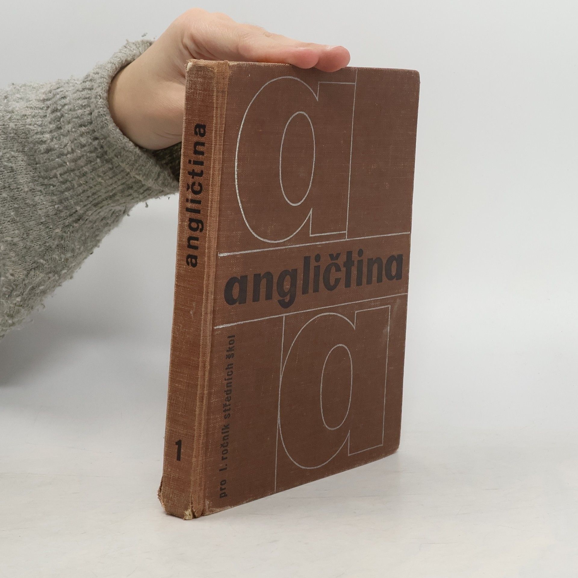 Collectif d'auteurs Angličtina. Pro I. ročník SŠ