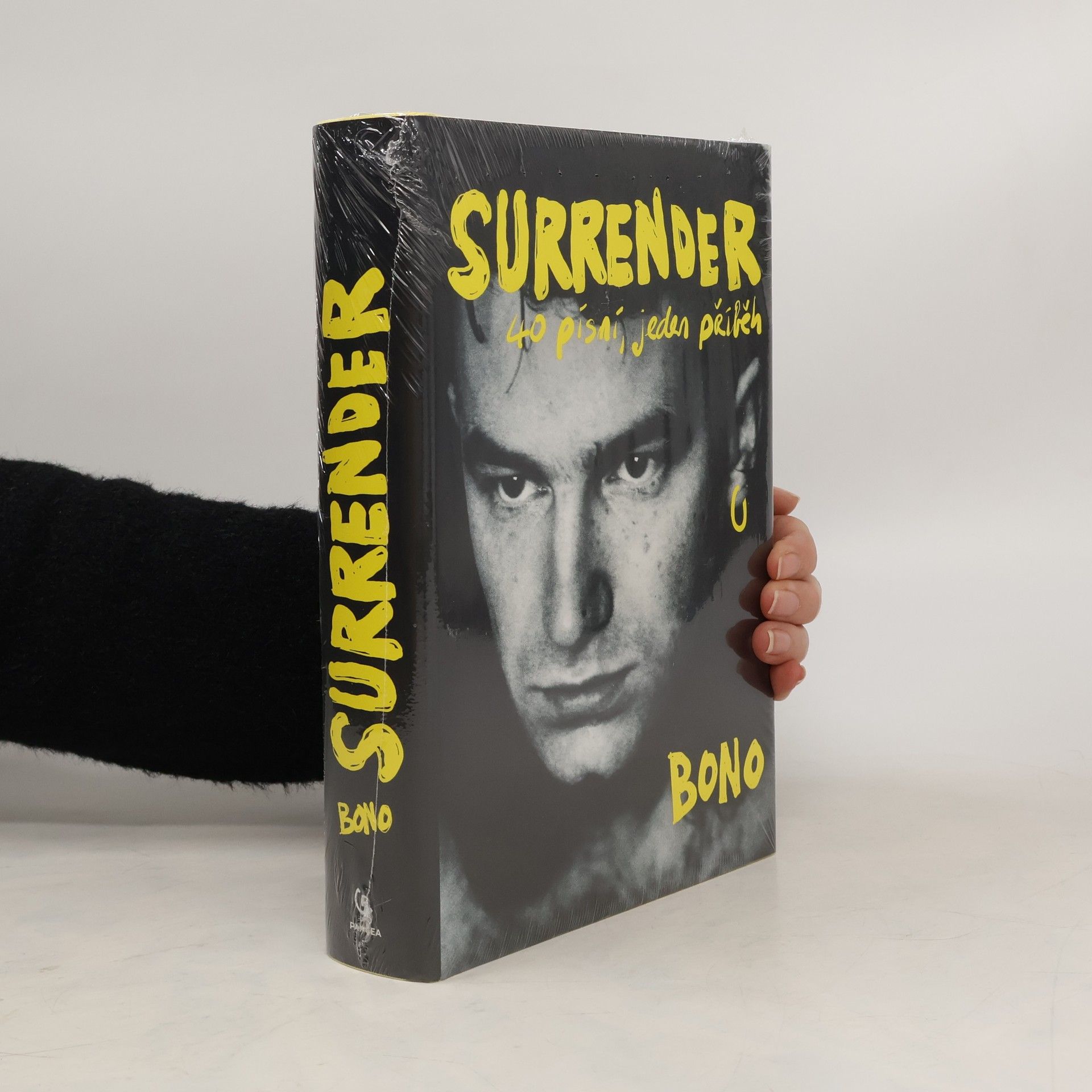 Bono Surrender : 40 písní, jeden příběh