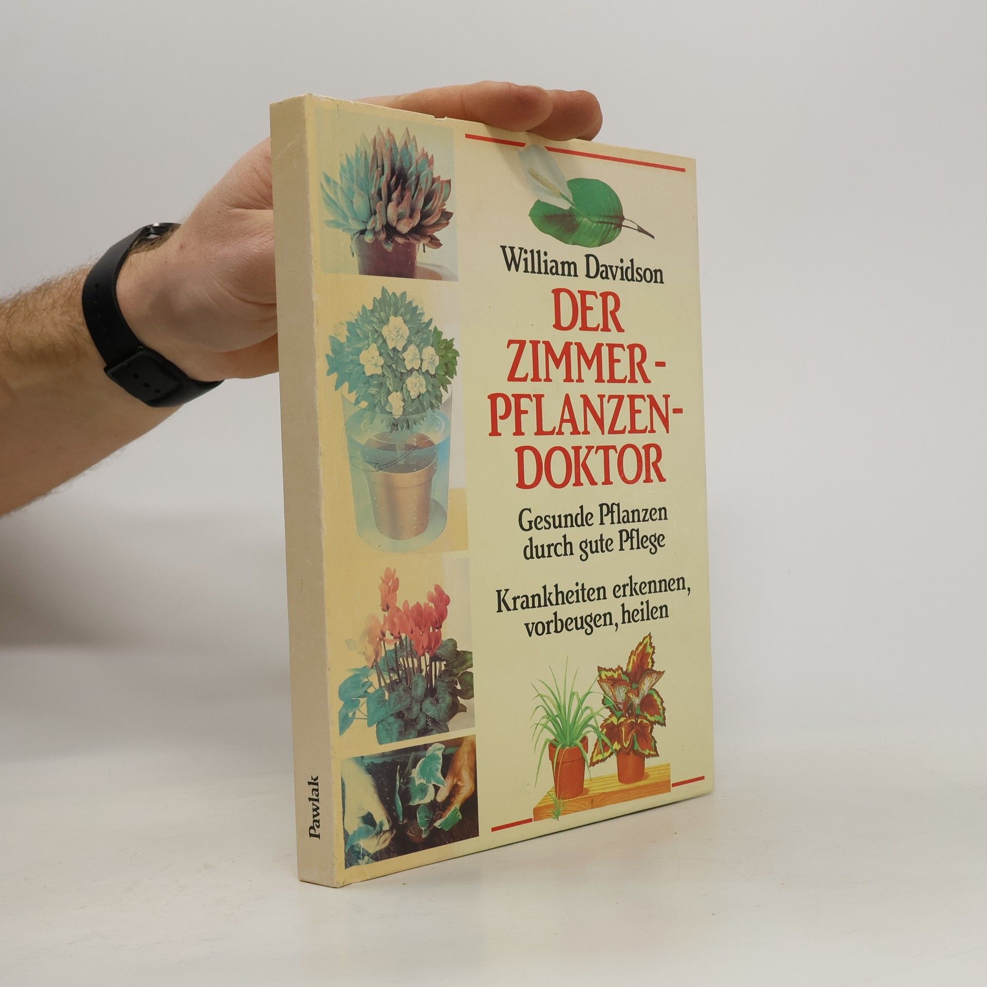 William Davidson Der Zimmerpflanzendoktor