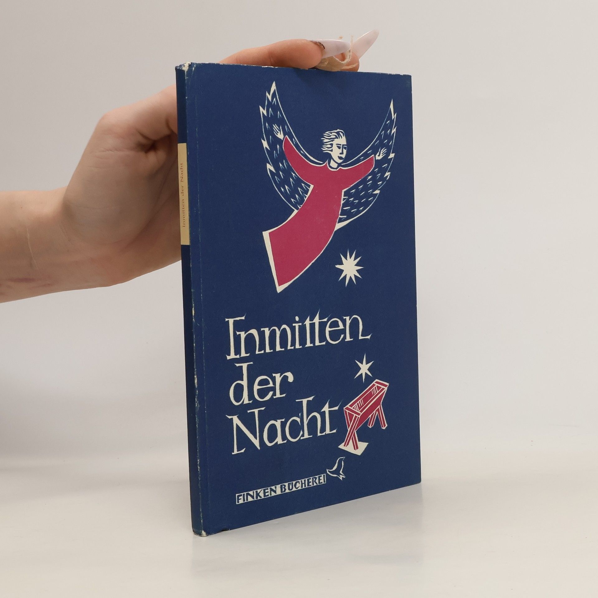 Collectif d'auteurs Inmitten der Nacht