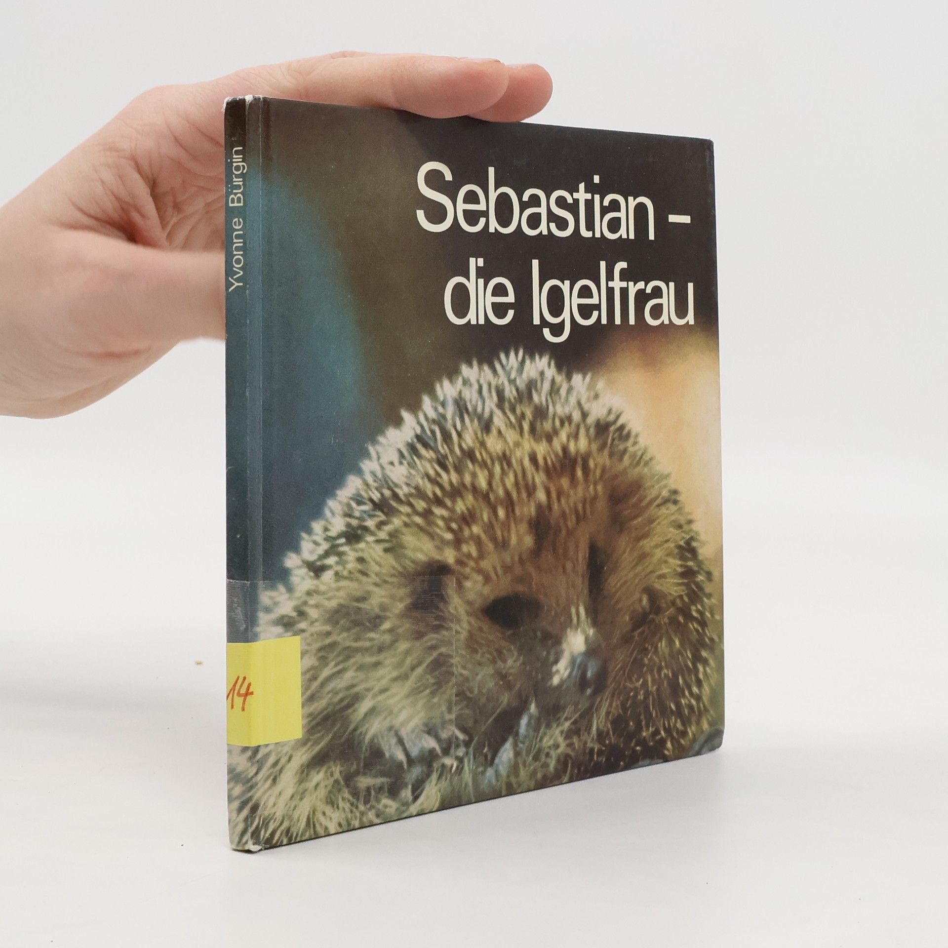 Yvonne Bürgin Sebastian die lgelfrau