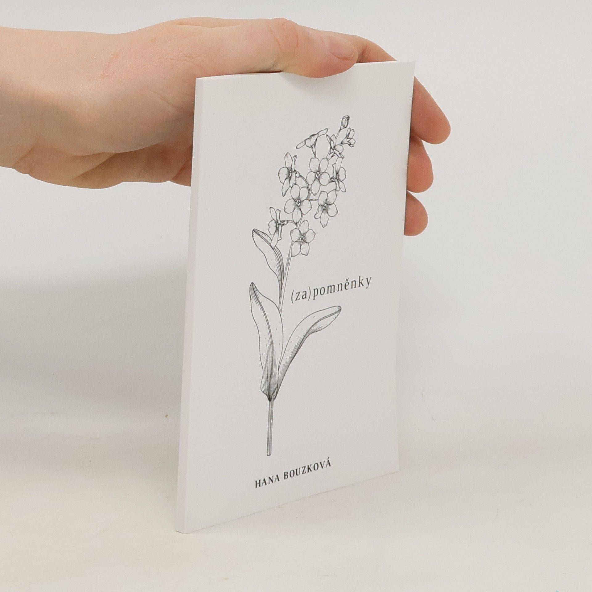Hana Bouzková (Za)pomněnky