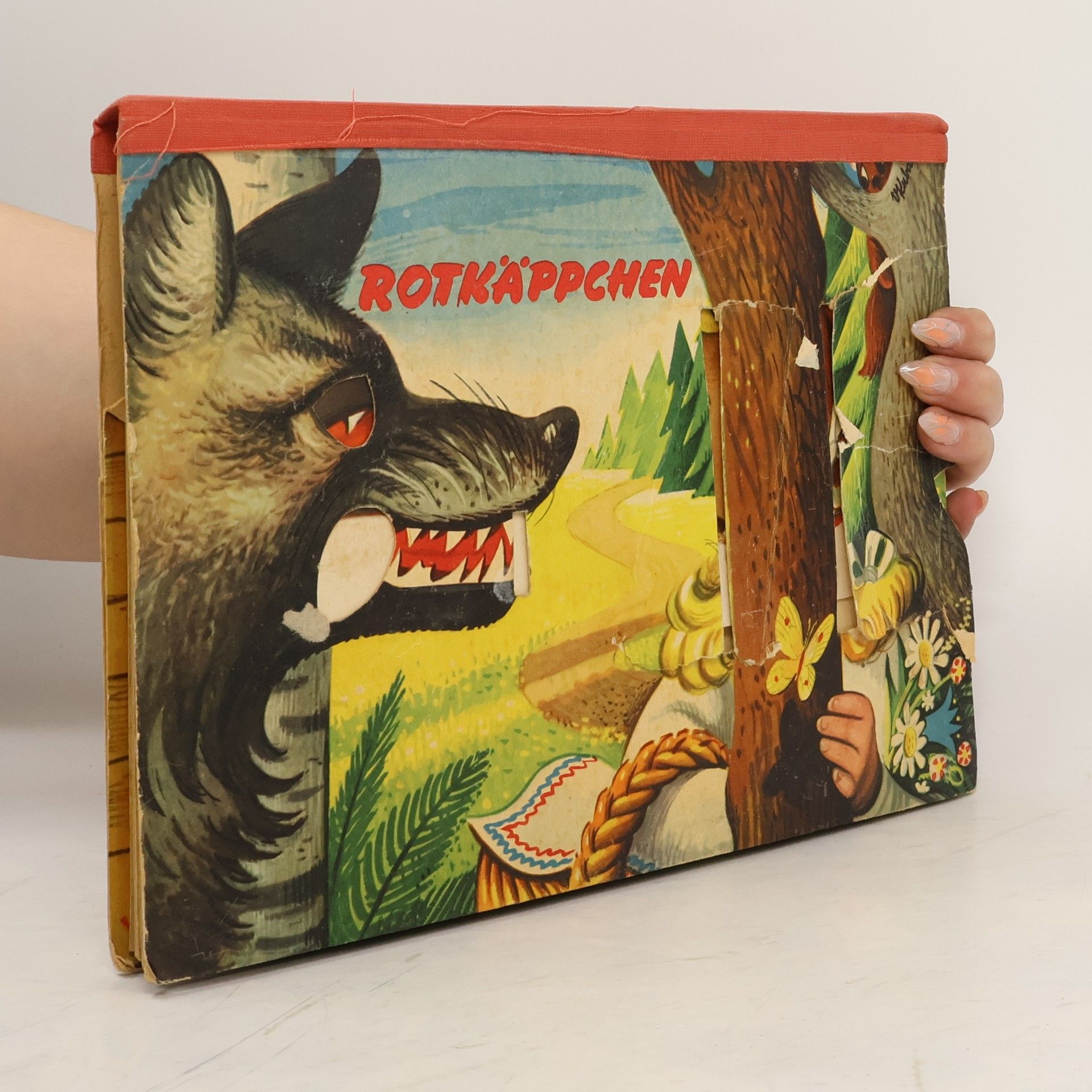 kolektiv Rotkäppchen