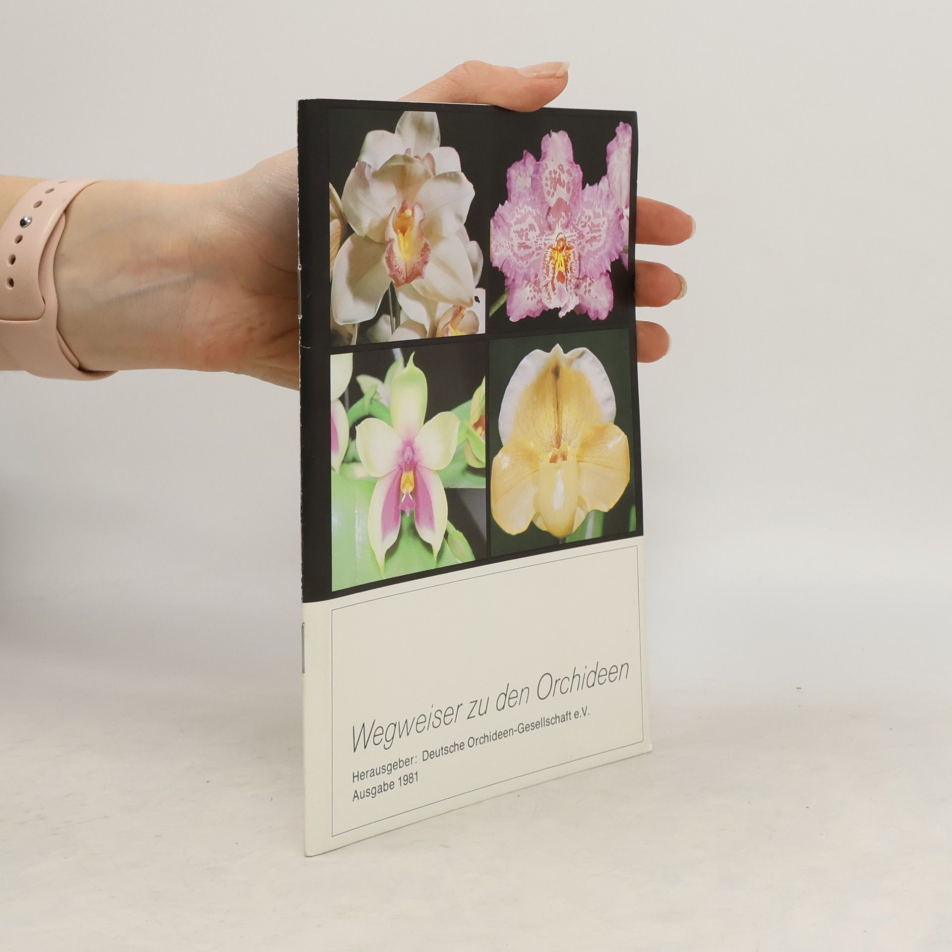 Autorenkollektiv Weweiser zu den Orchideen