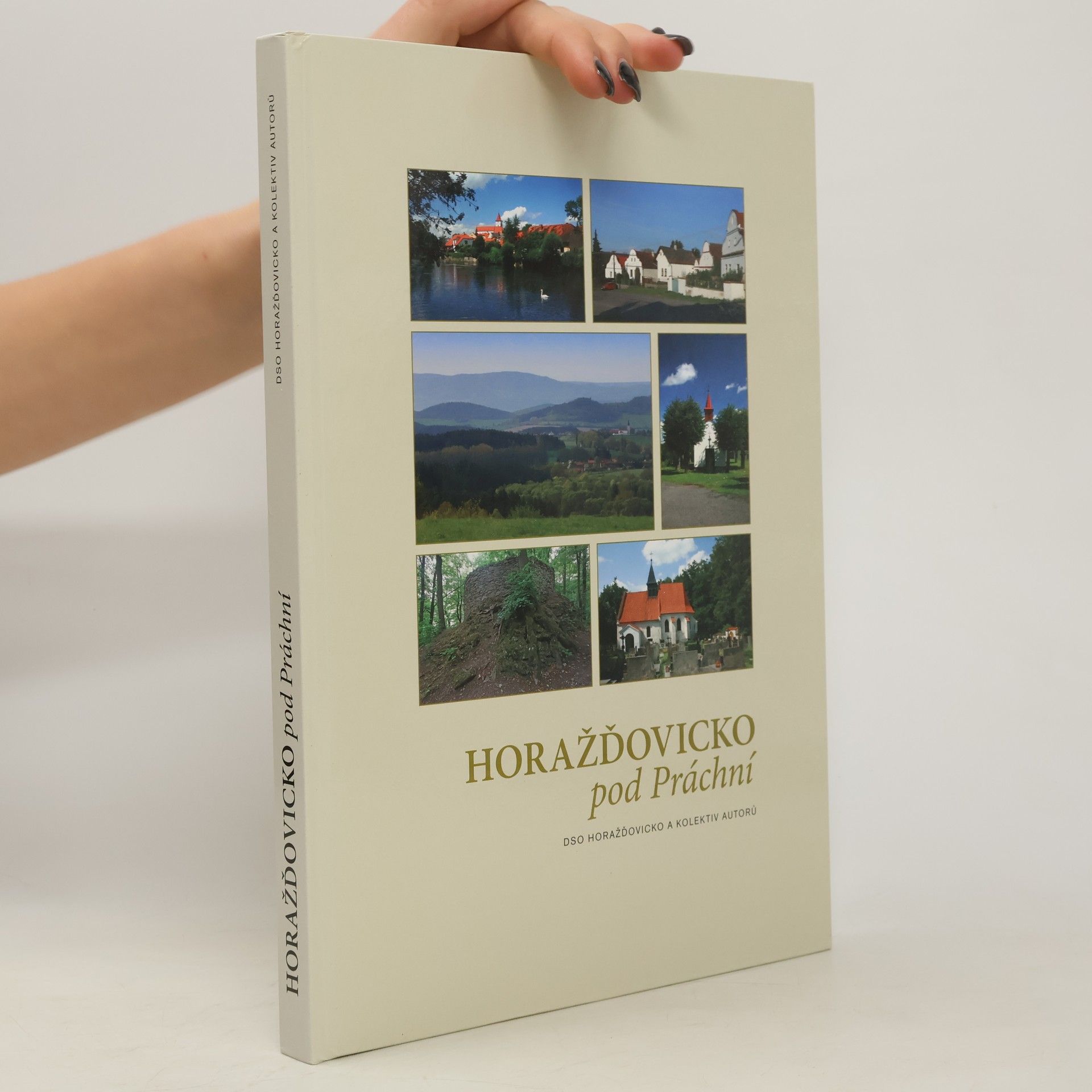 Collectif d'auteurs Horažďovicko pod Práchní