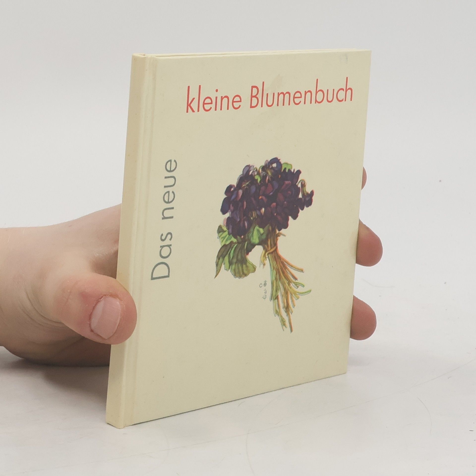 kolektiv Das neue kleine Blumenbuch