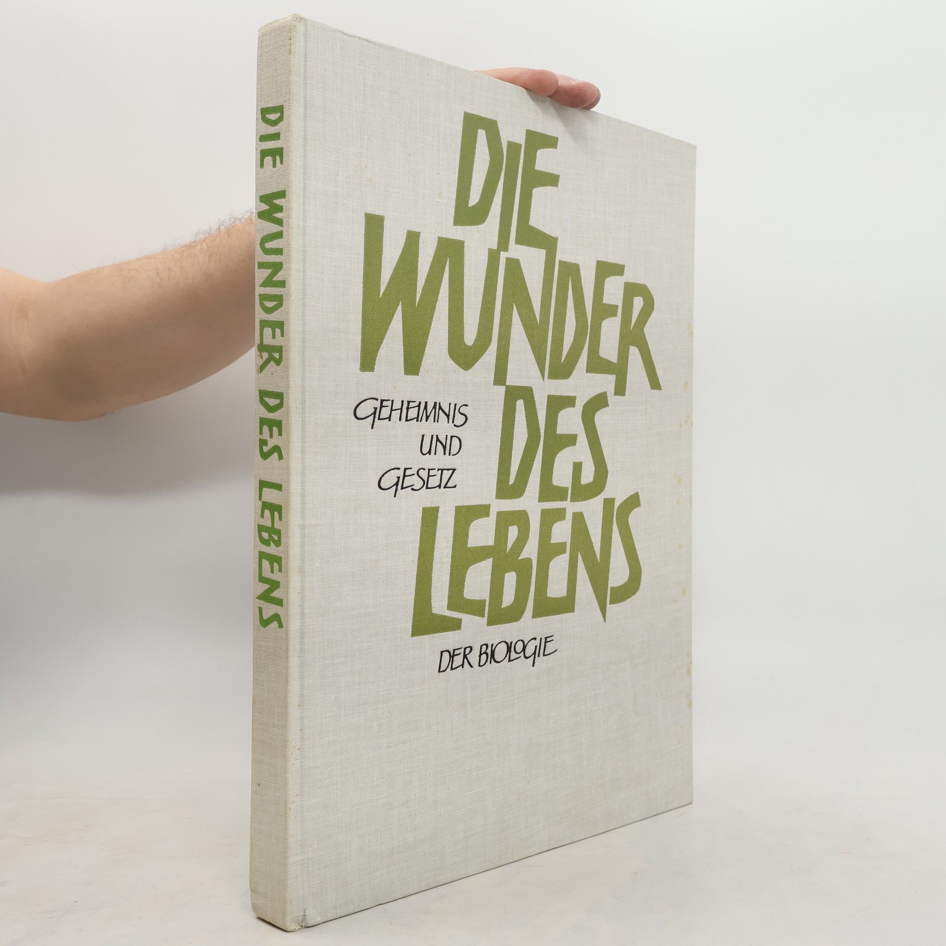 kolektiv Die Wunder des Lebens