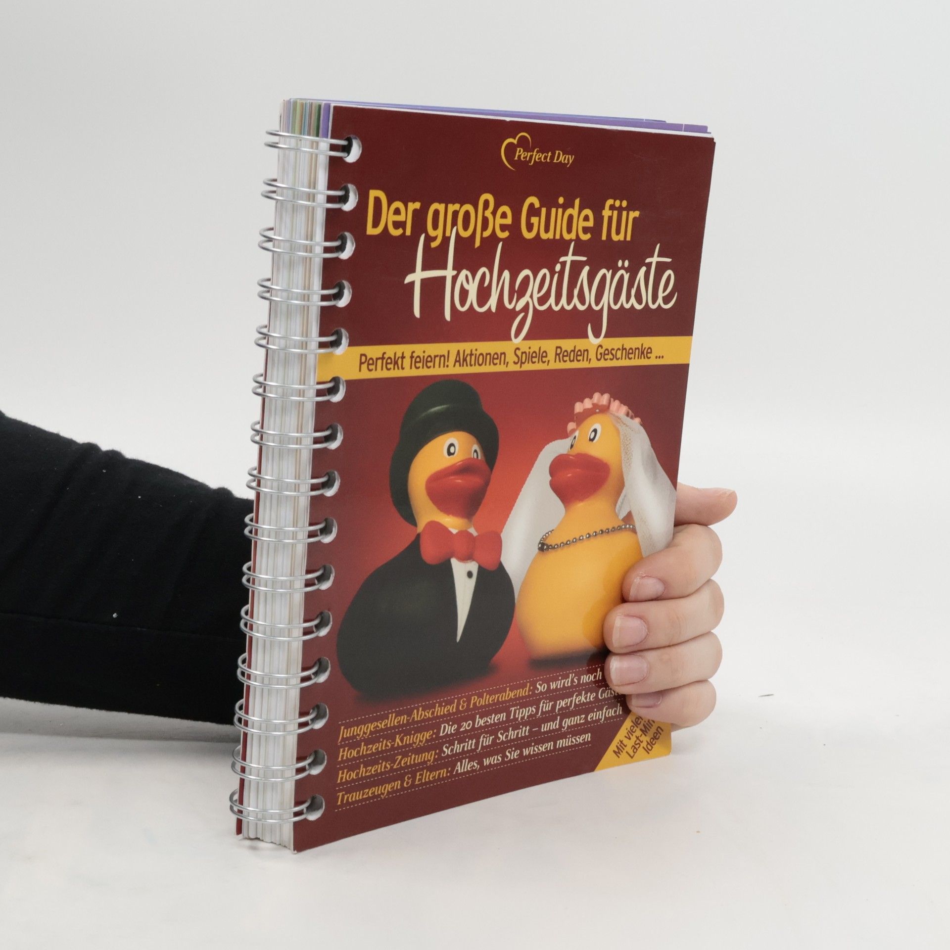 Bettina Pyczak Der große Guide für Hochzeitsgäste