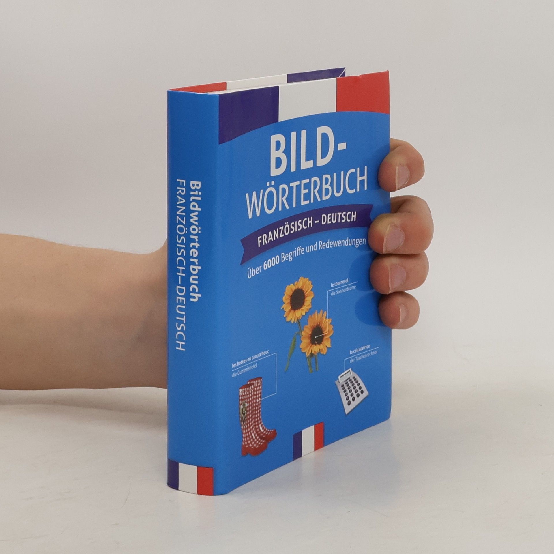 Collectif d'auteurs Bildwörterbuch. Französisch-Deutsch