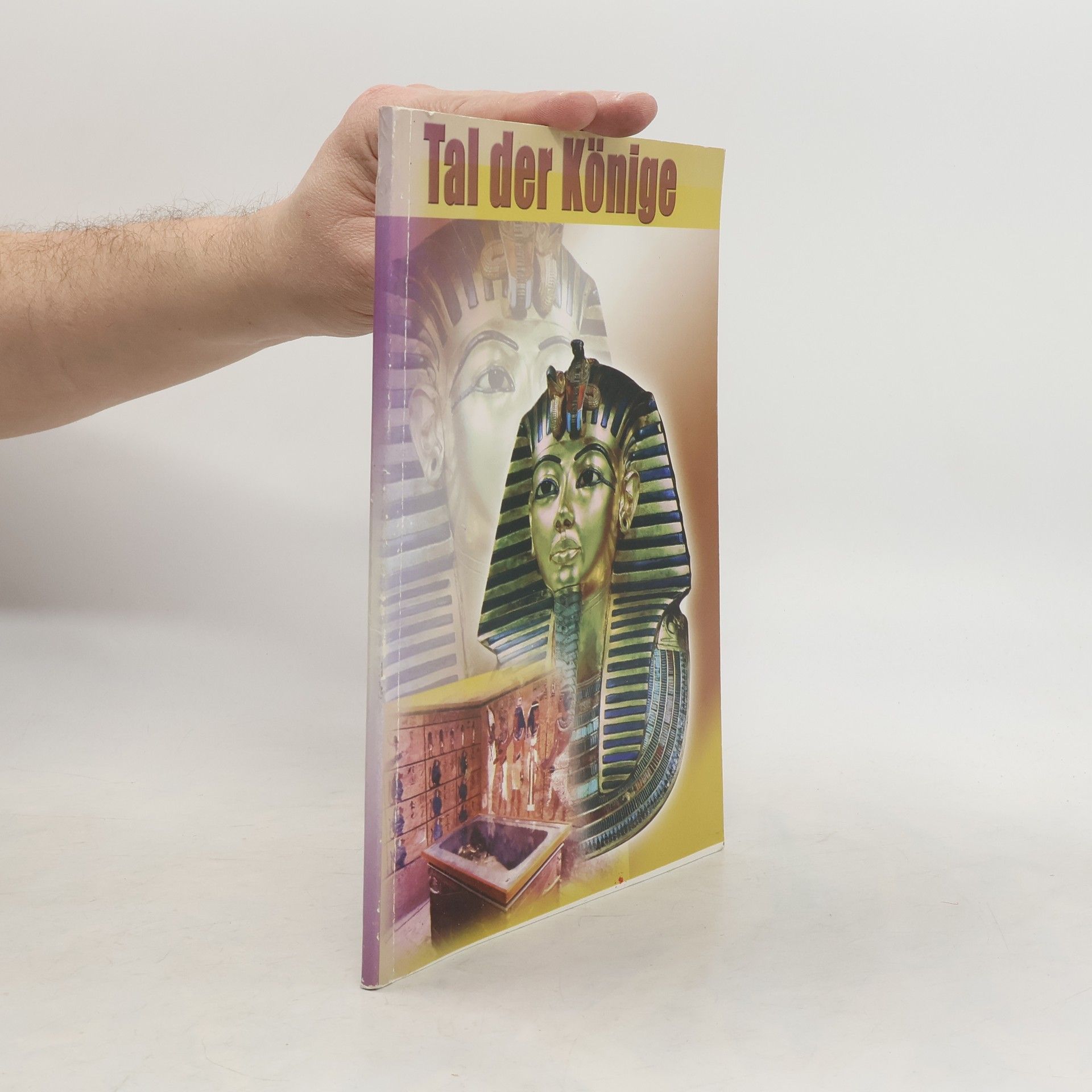 Autorenkollektiv Tal der Könige