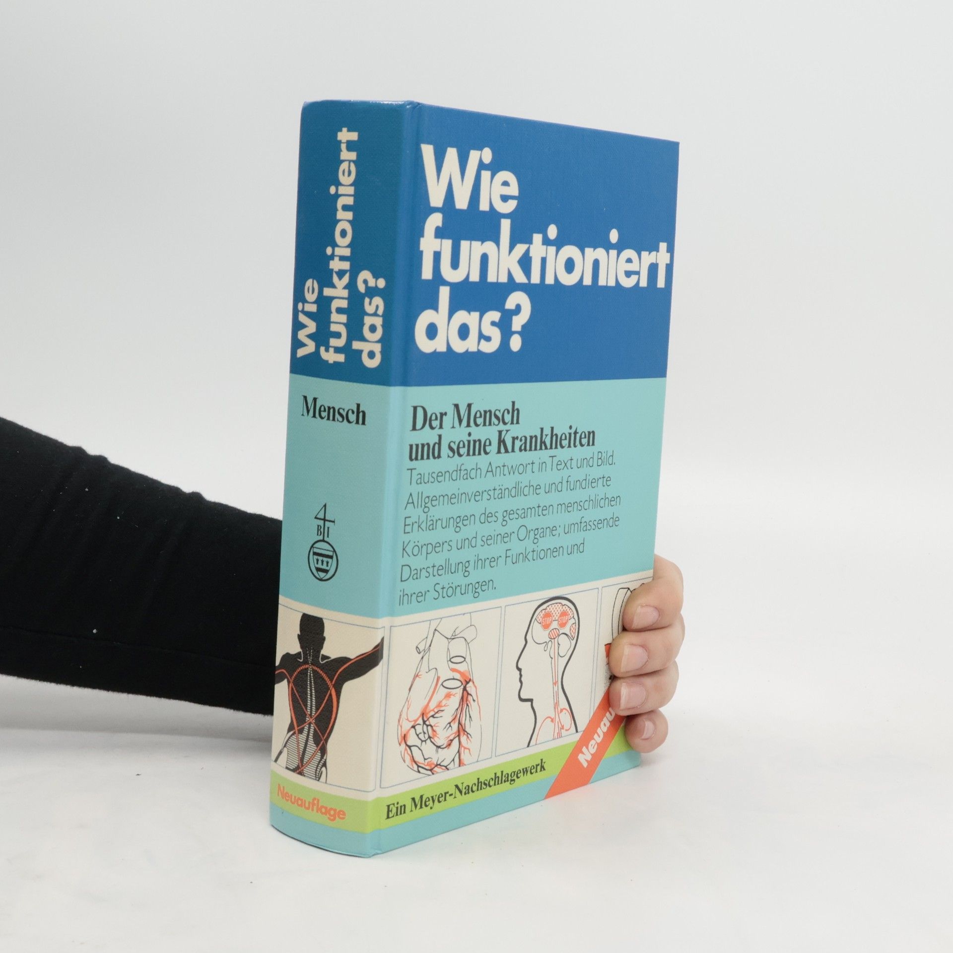 Autorenkollektiv Wie funktioniert das?