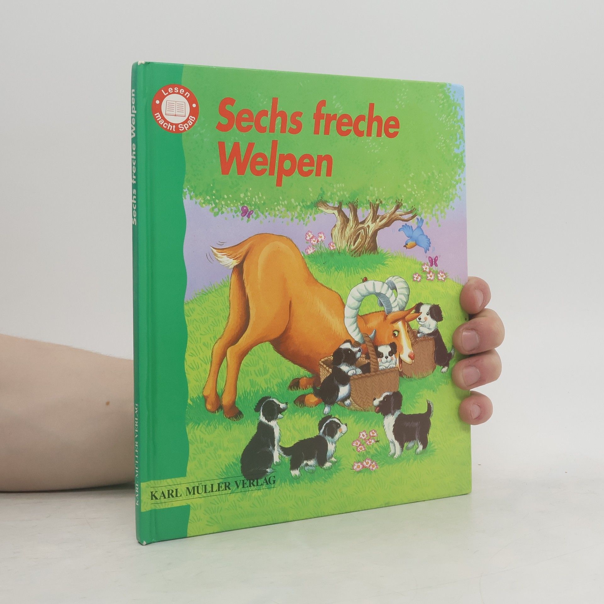 Sechs freche Welpen