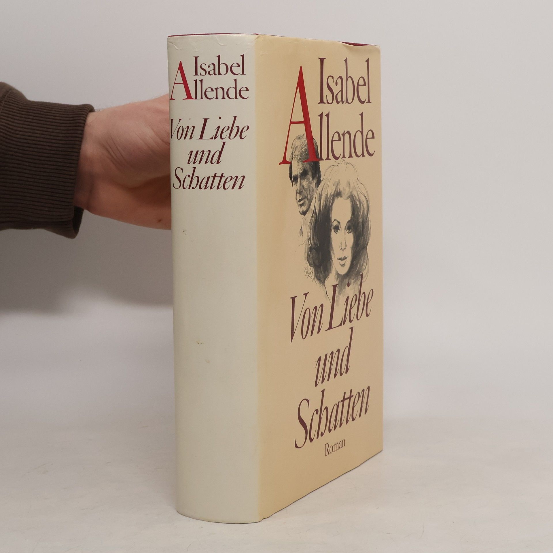 Isabel Allende Llona Von Liebe und Schatten
