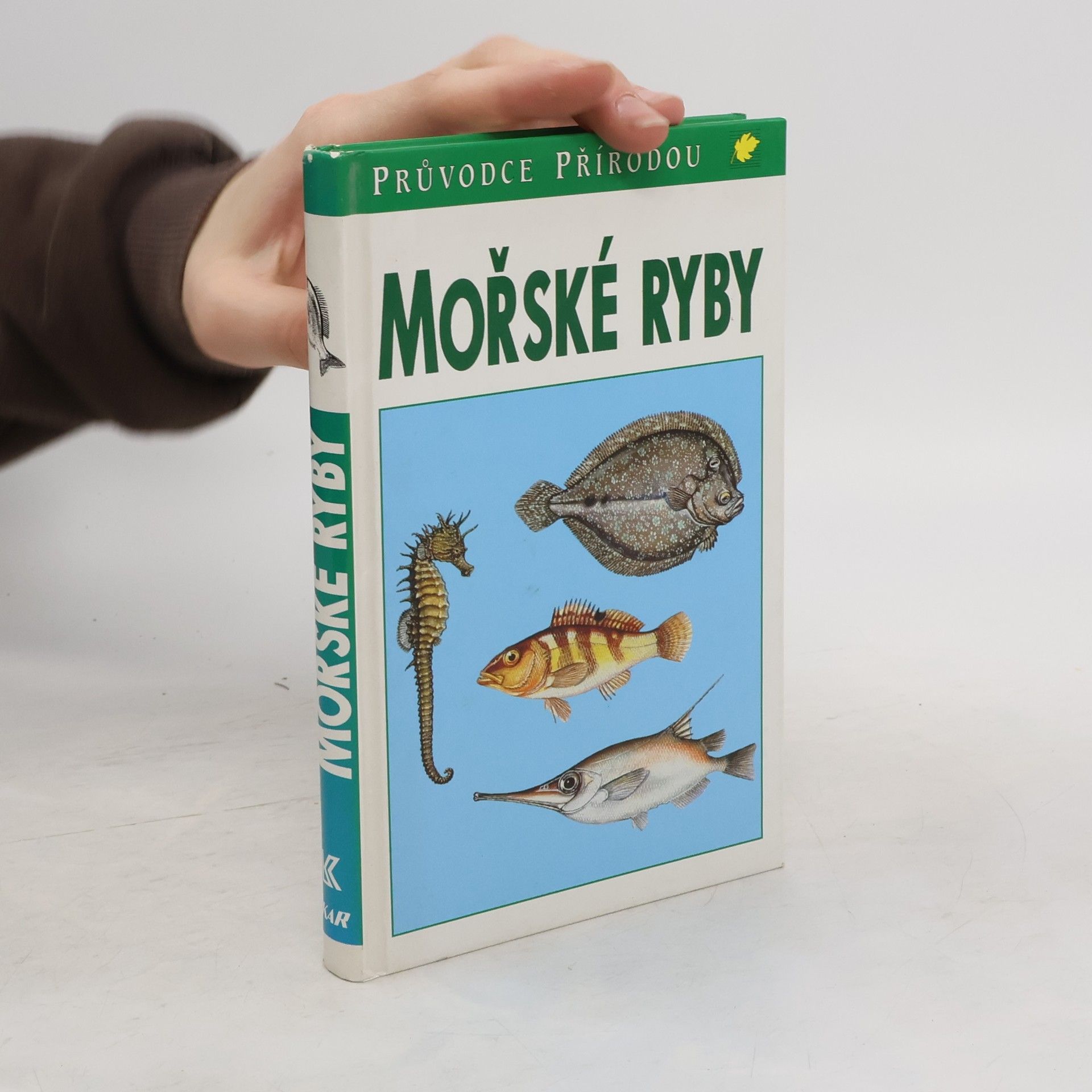 Friedhelm Sauer Mořské ryby v evropských vodách