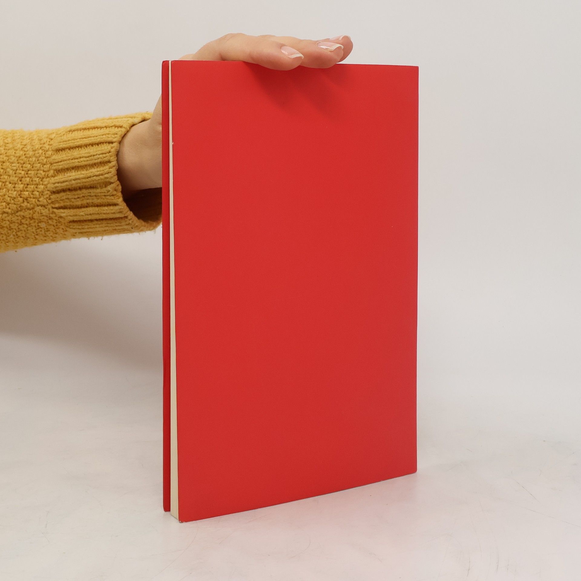 Autorenkollektiv The Big IdeaL. A Small Book on a Big Topic