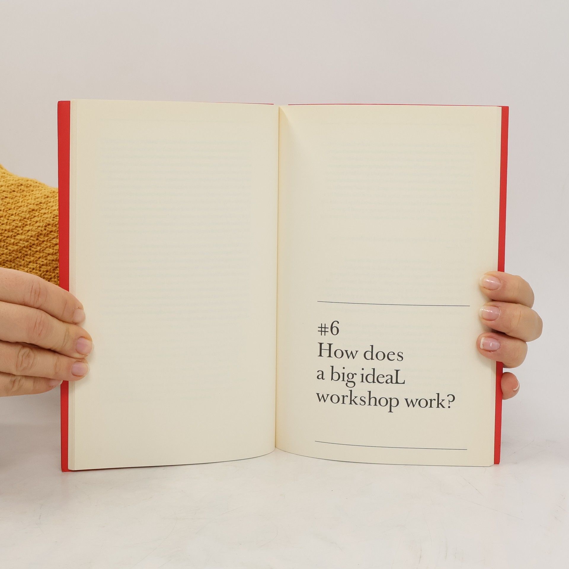 Autorenkollektiv The Big IdeaL. A Small Book on a Big Topic
