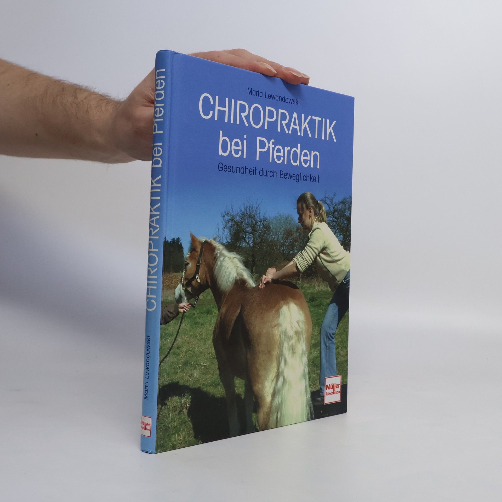 Marta Lewandowski Chiropraktik bei Pferden